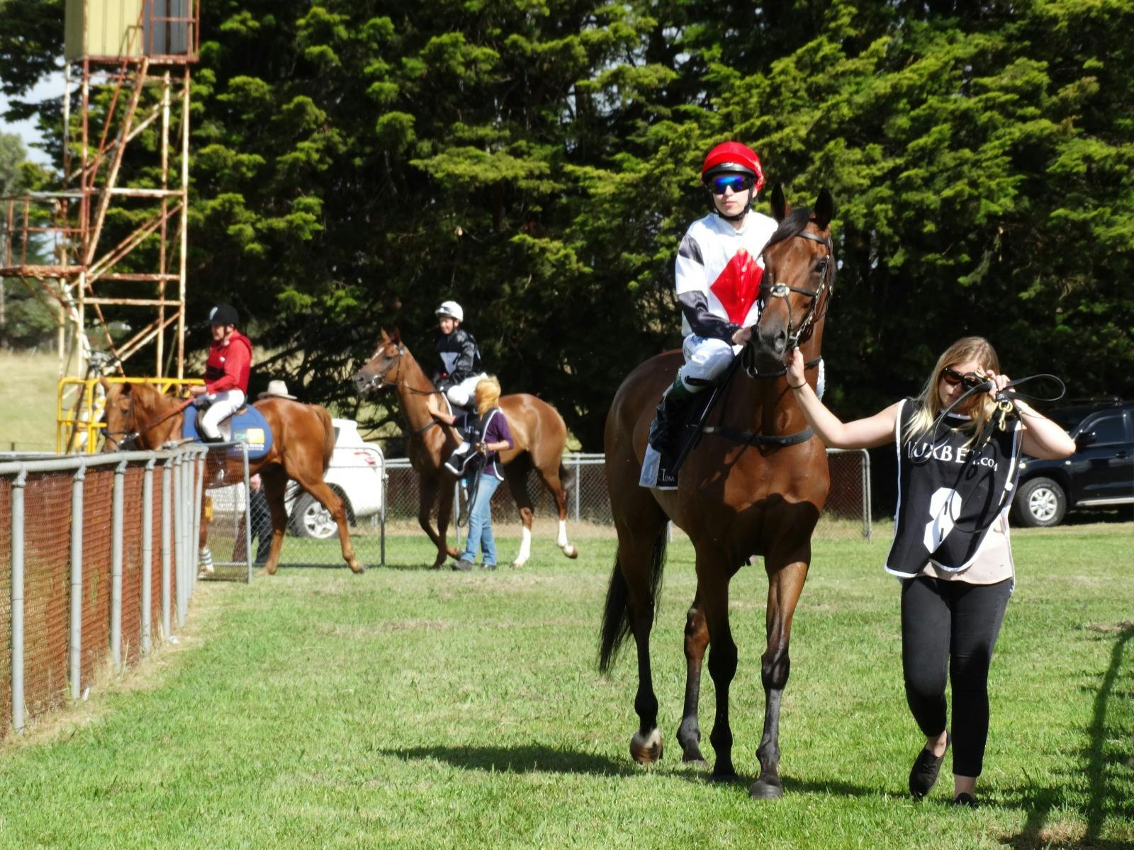 Penshurst Cup
