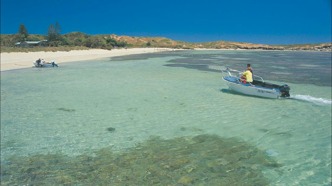 Penguin Island Conservation Park