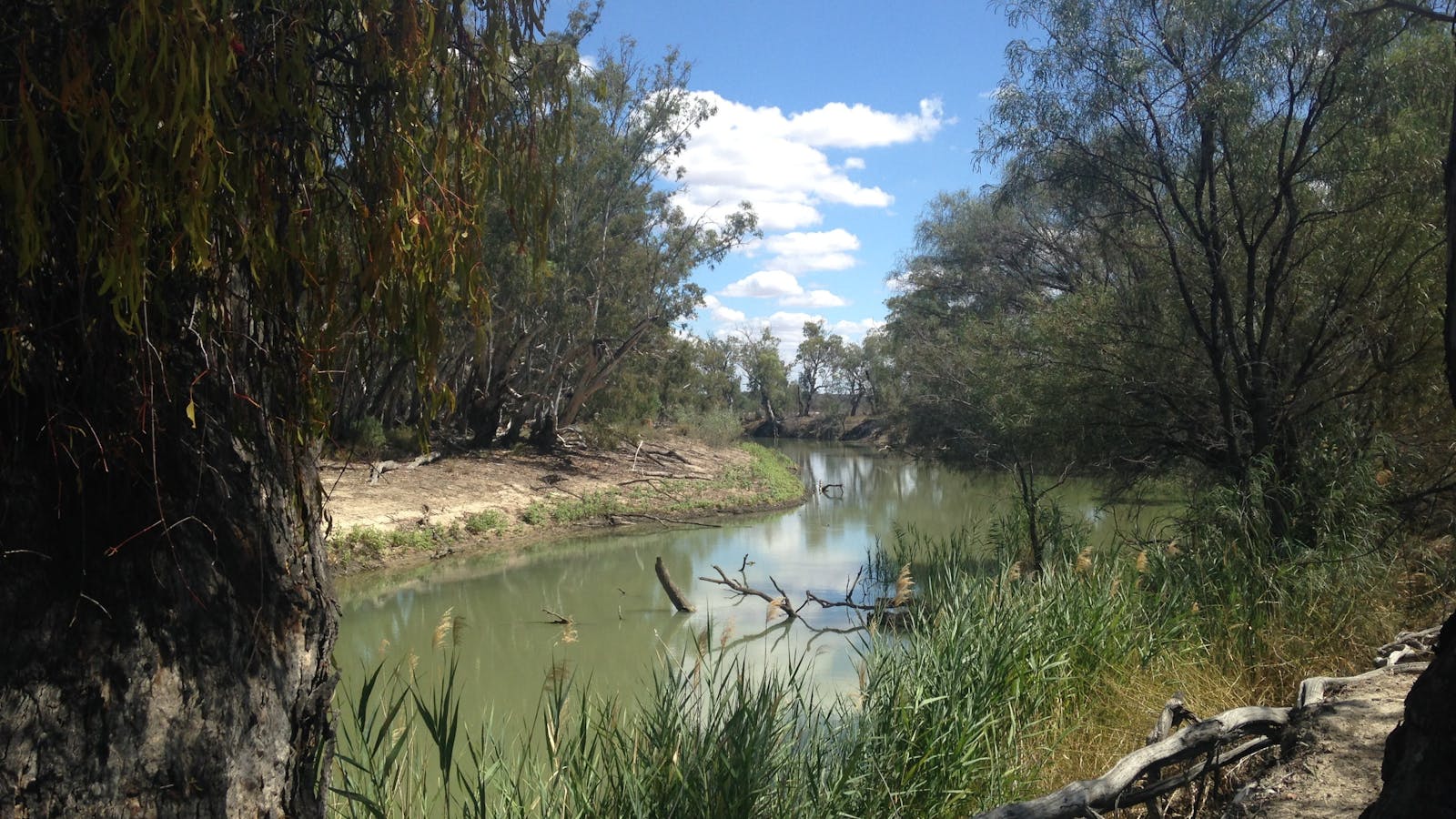 Chowilla Game Reserve And Regional Reserve