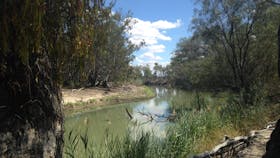 Chowilla Game Reserve And Regional Reserve