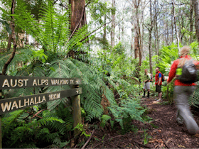 Great Walhalla Alpine Trail