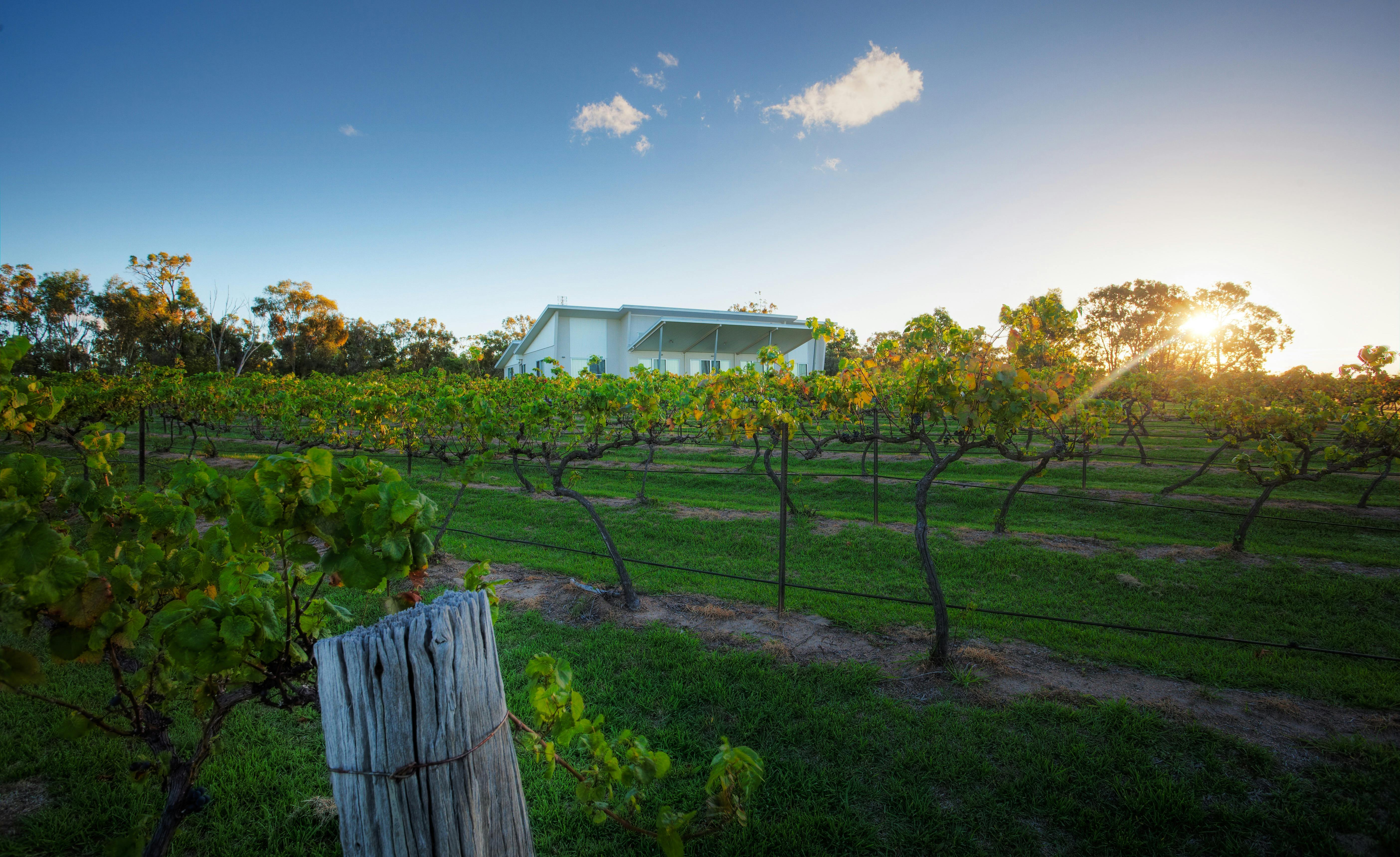 Experience the luxury accommodation at Azjure