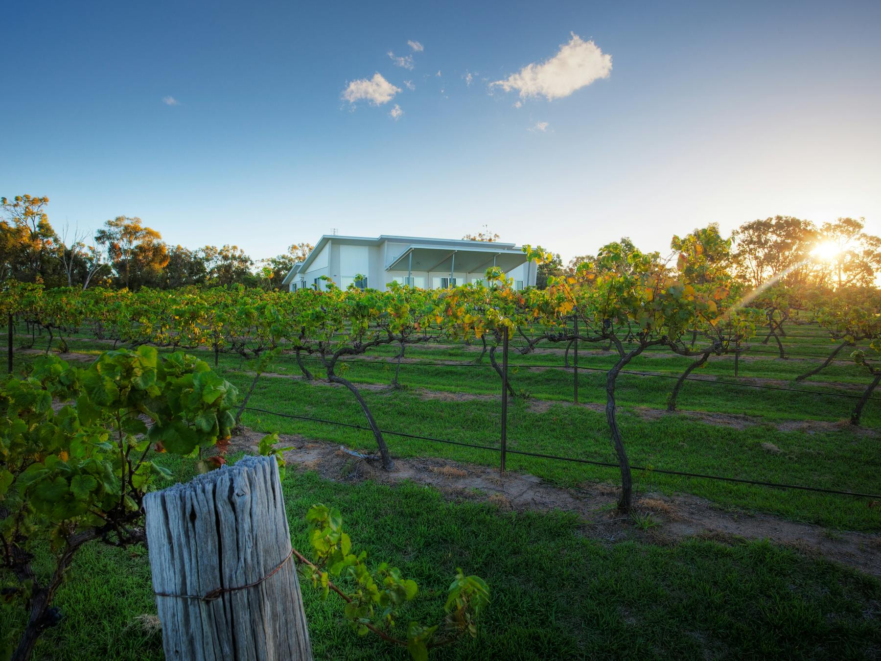 Experience the luxury accommodation at Azjure