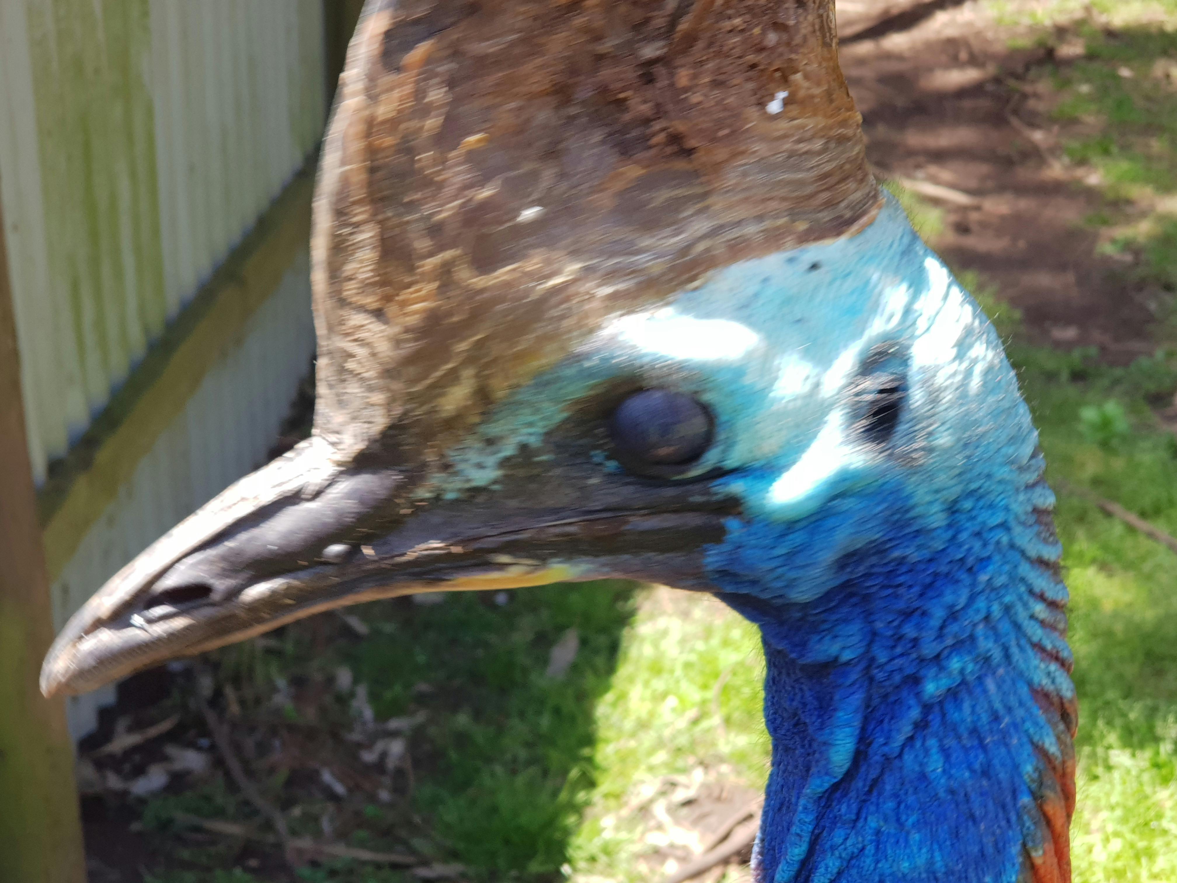 Phillip Island Wildlife Park