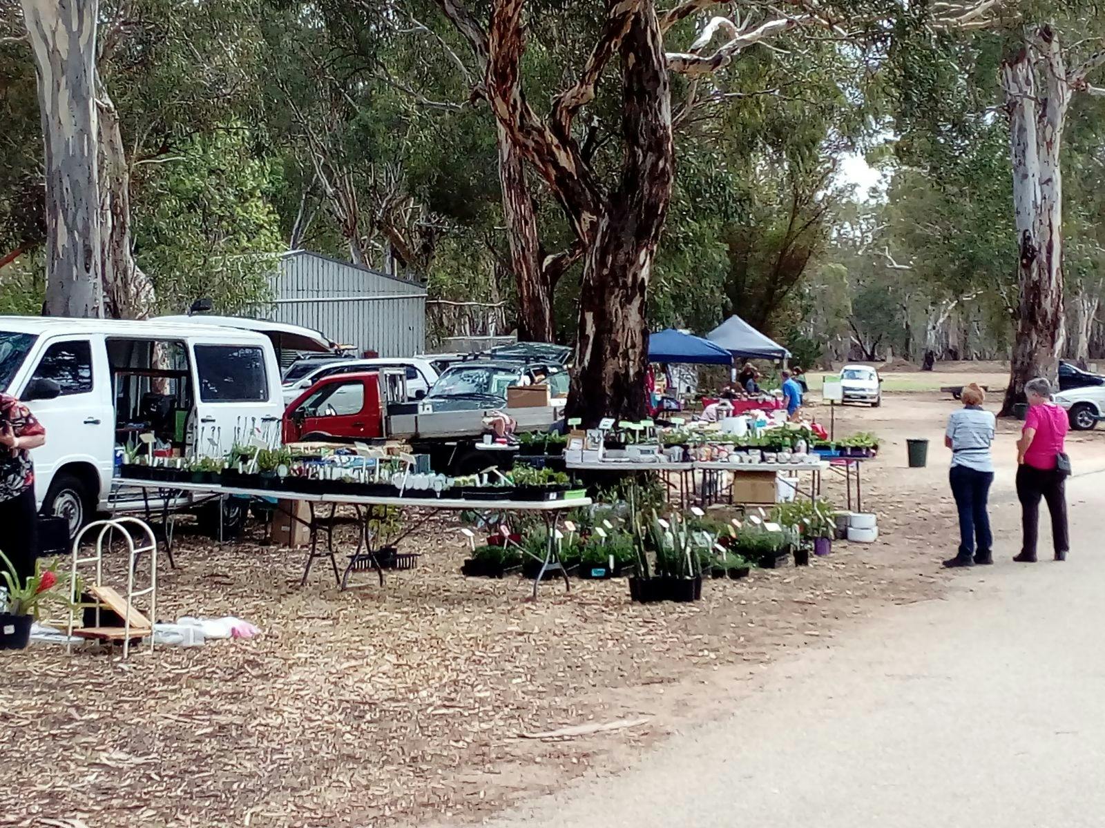 Nyah Lions Club Market