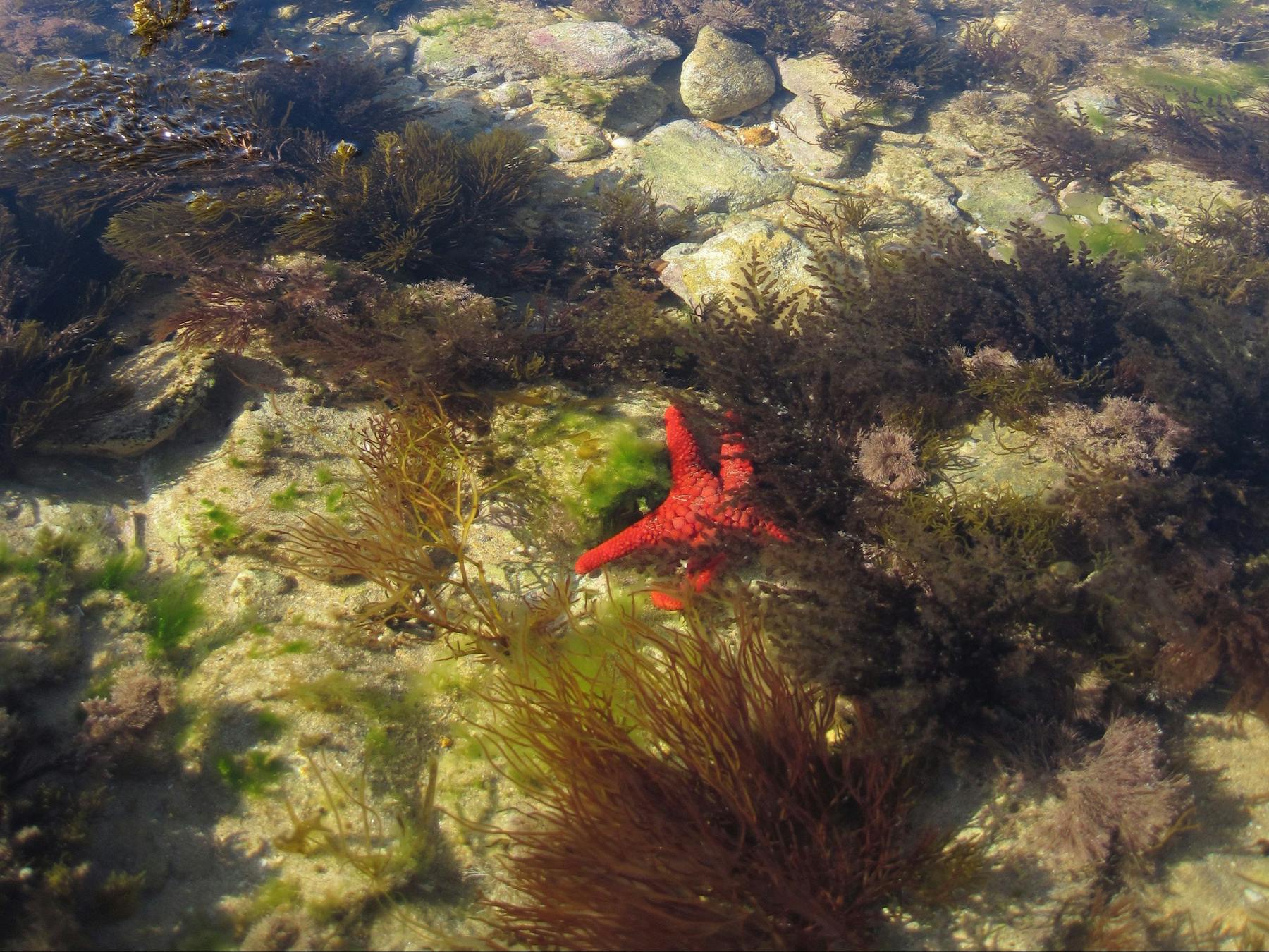 Point Danger Marine Sanctuary