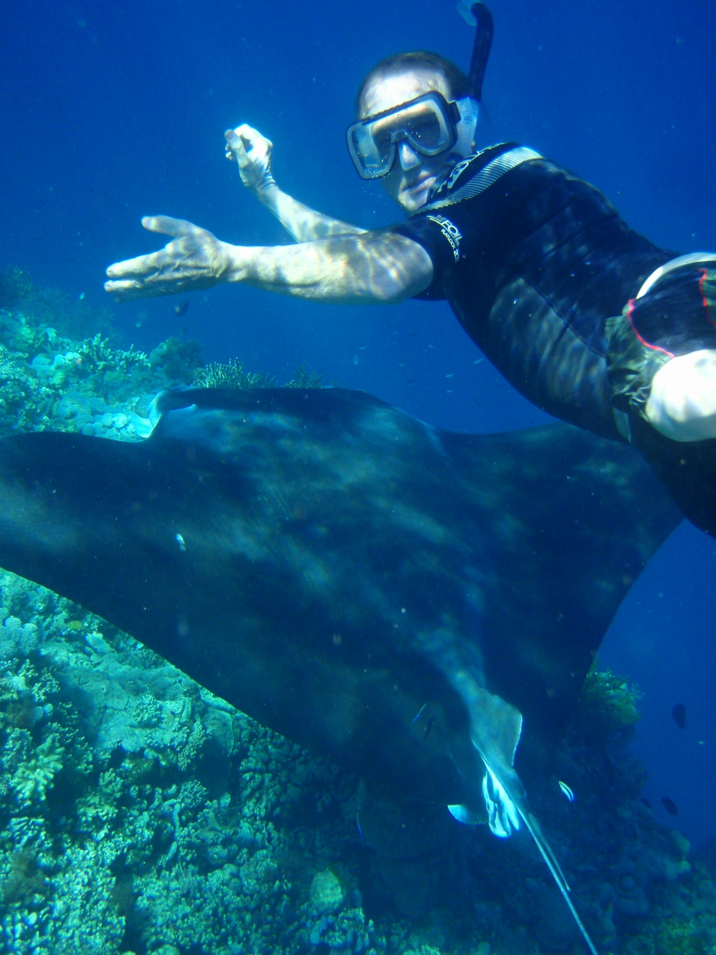 The joy of swimming with such an amazing  creature