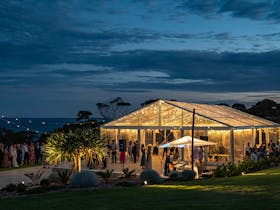 Cobble + Stone celebration, underneath the stars