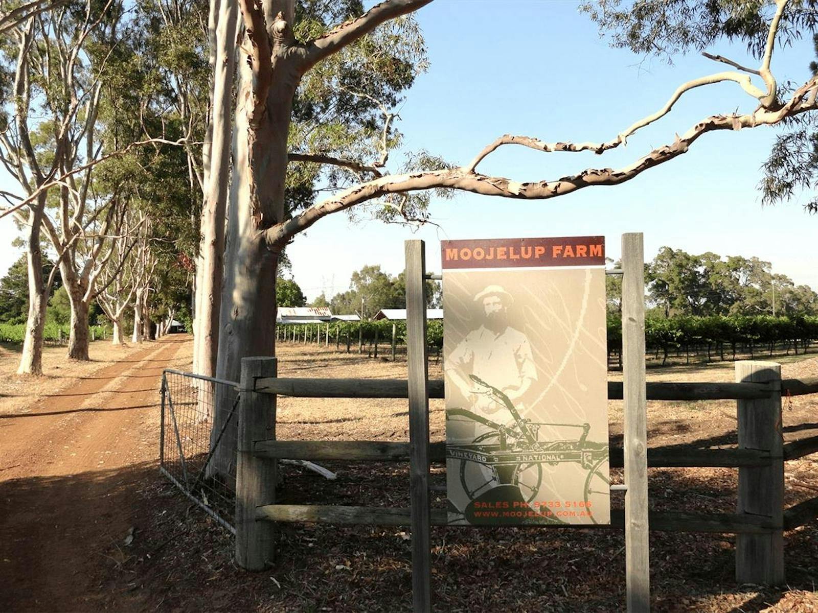 Moojelup Farm Wines