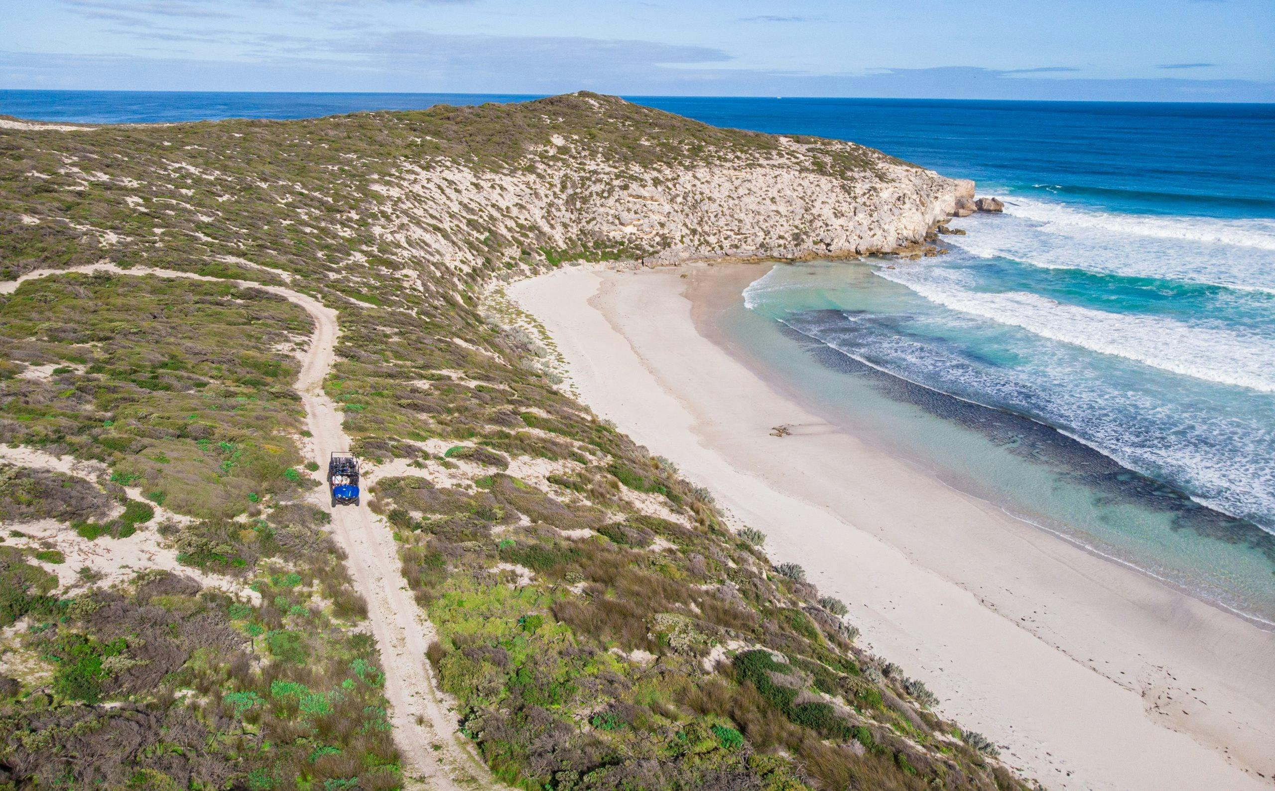Buggy Coast