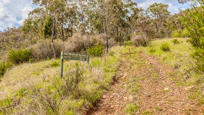 Old Mountain Road Walking Track