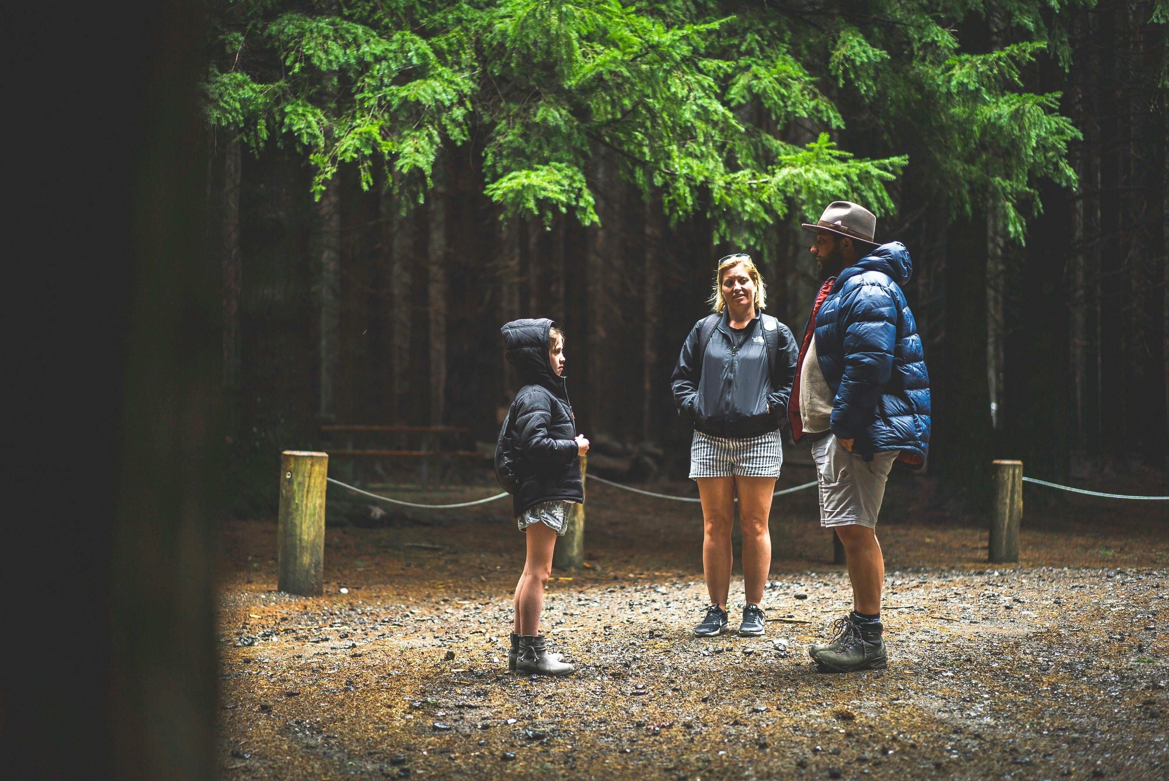 The Firs picnic area in Stewarts Brook State Forest