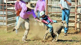 Dunedoo Show