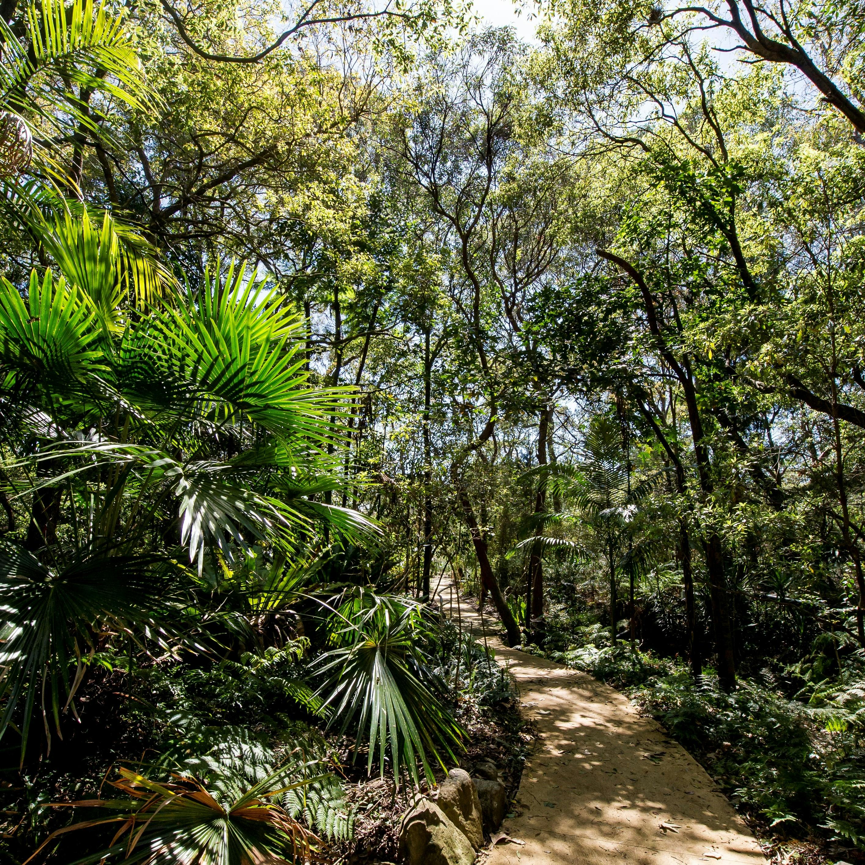 Walkway at Stony Range Botanical gardens