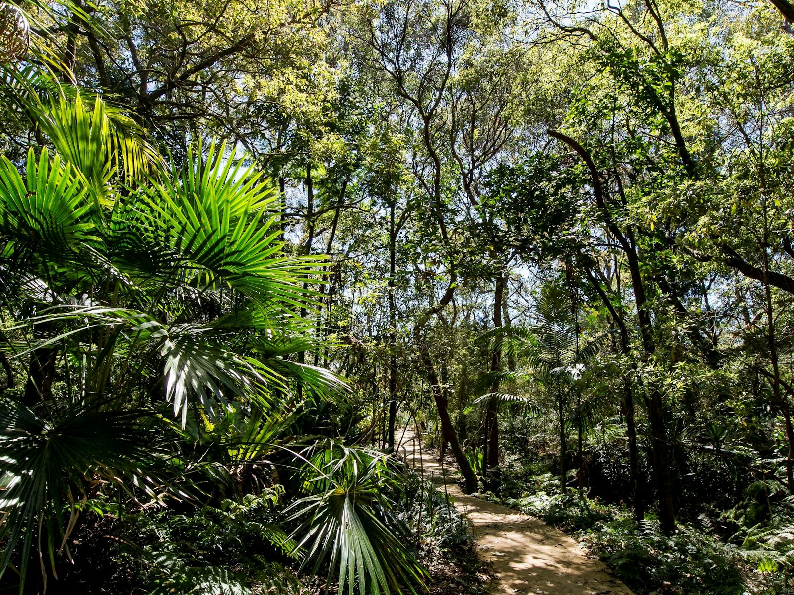 Rodney Botanic Ridge Stony Range Regional Botanic Garden | Sydney, Australia - Official ...