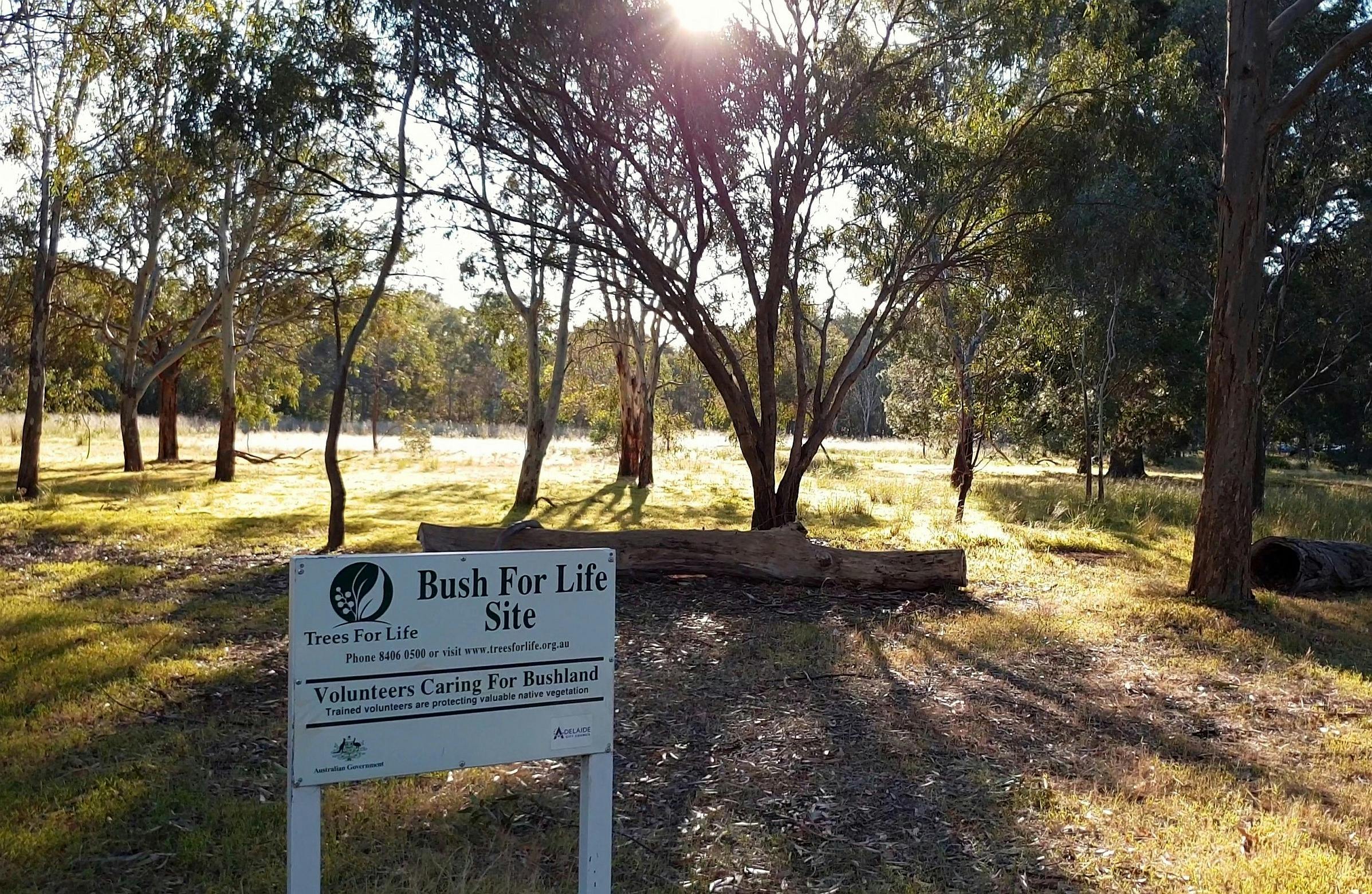 Carriageway Park / Tuthangga (Park 17)