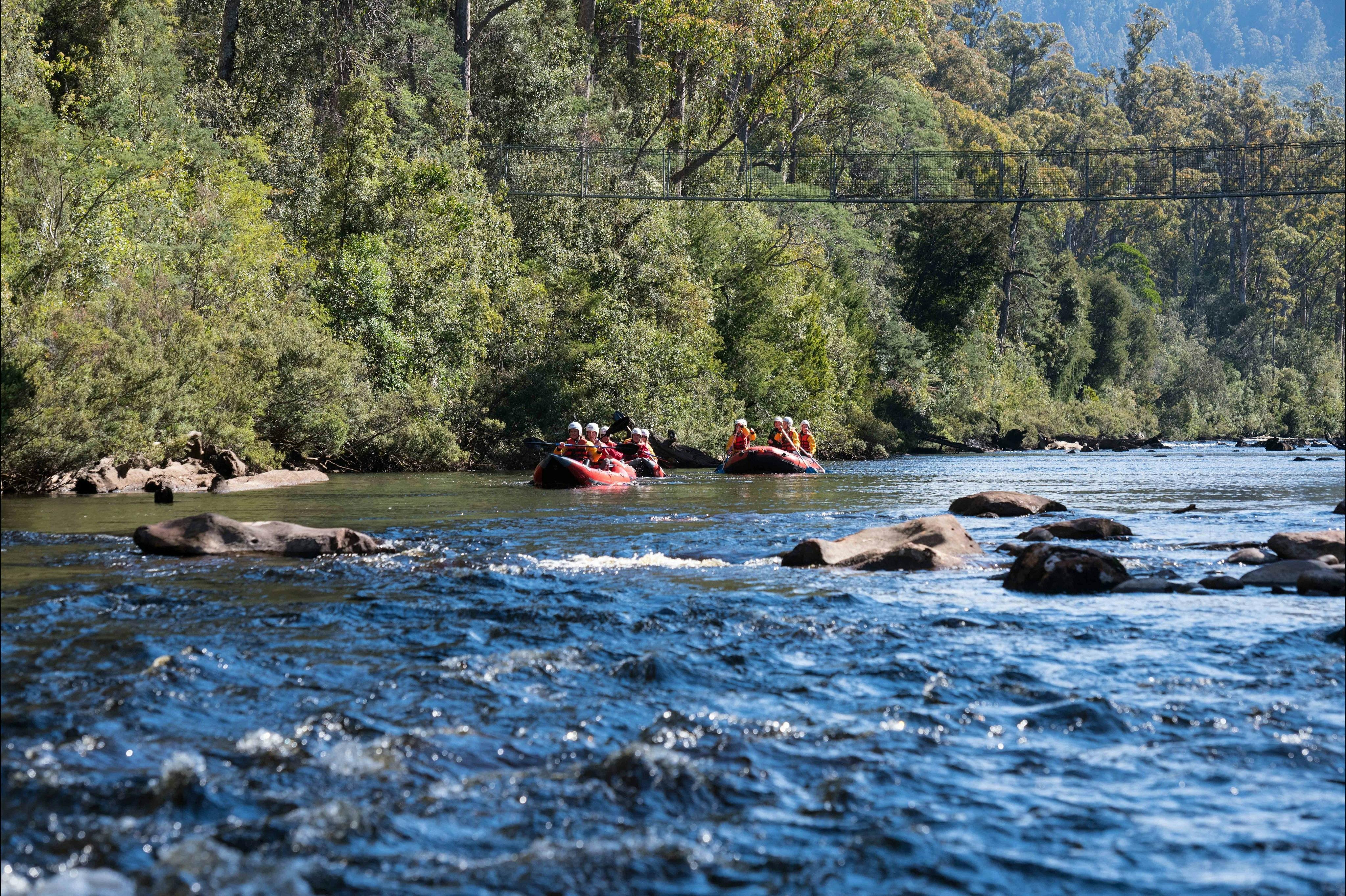King River Rafting Queenstown Twin Rivers Adventure Discover Tasmania
