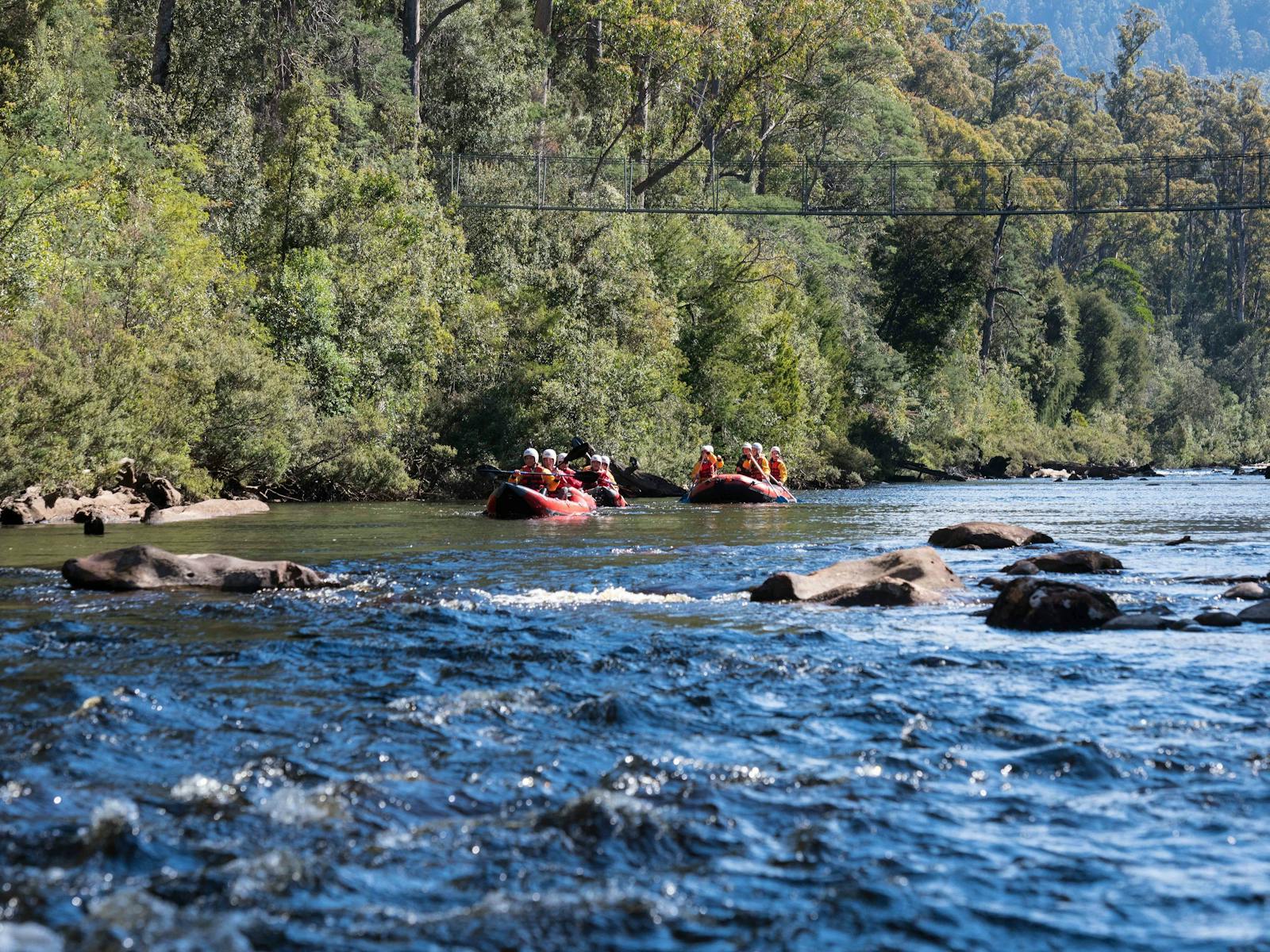 Raft the easy lower Picton River in Tasmania.  Entry to the Tahune Adventure Site is included