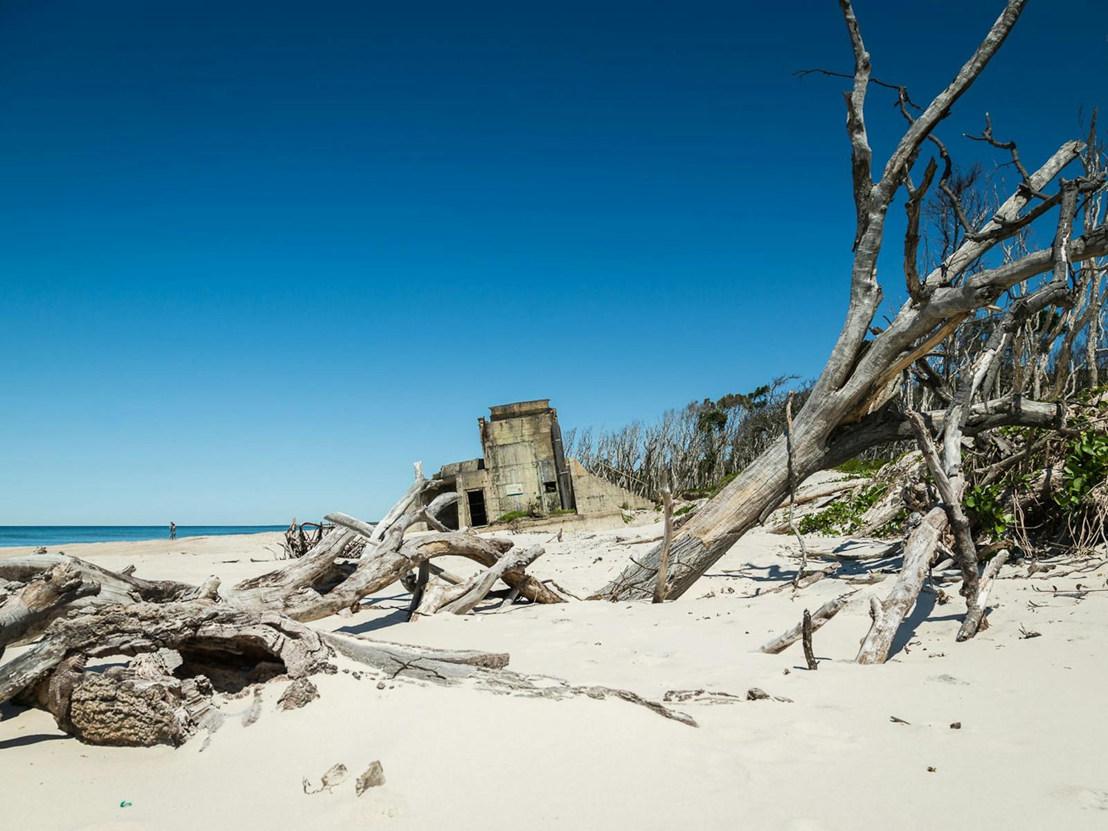 Fort Bribie G'day Adventure Tours 4x4 tours