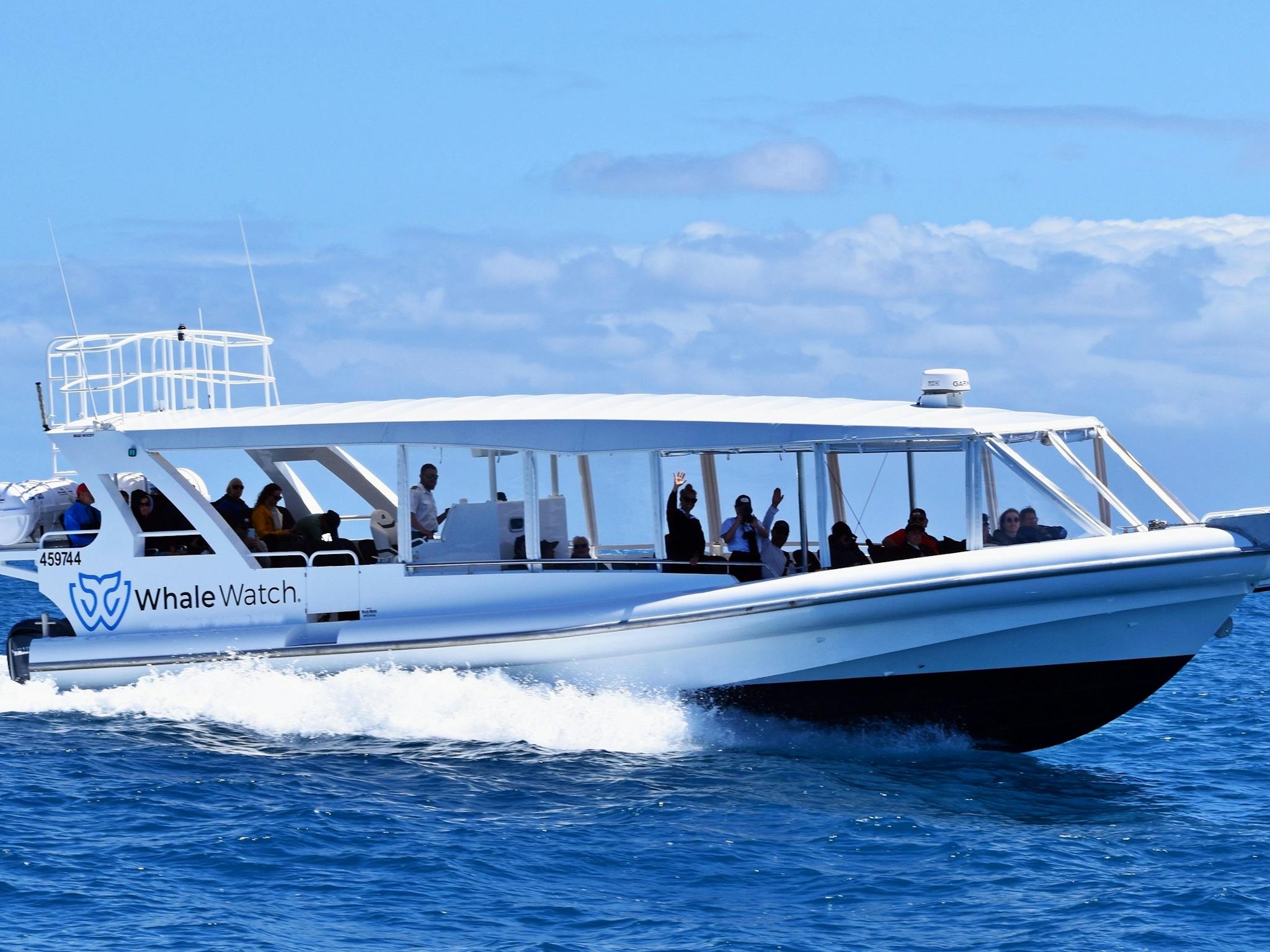 Whale Watch Queensland Whale Watch Queensland