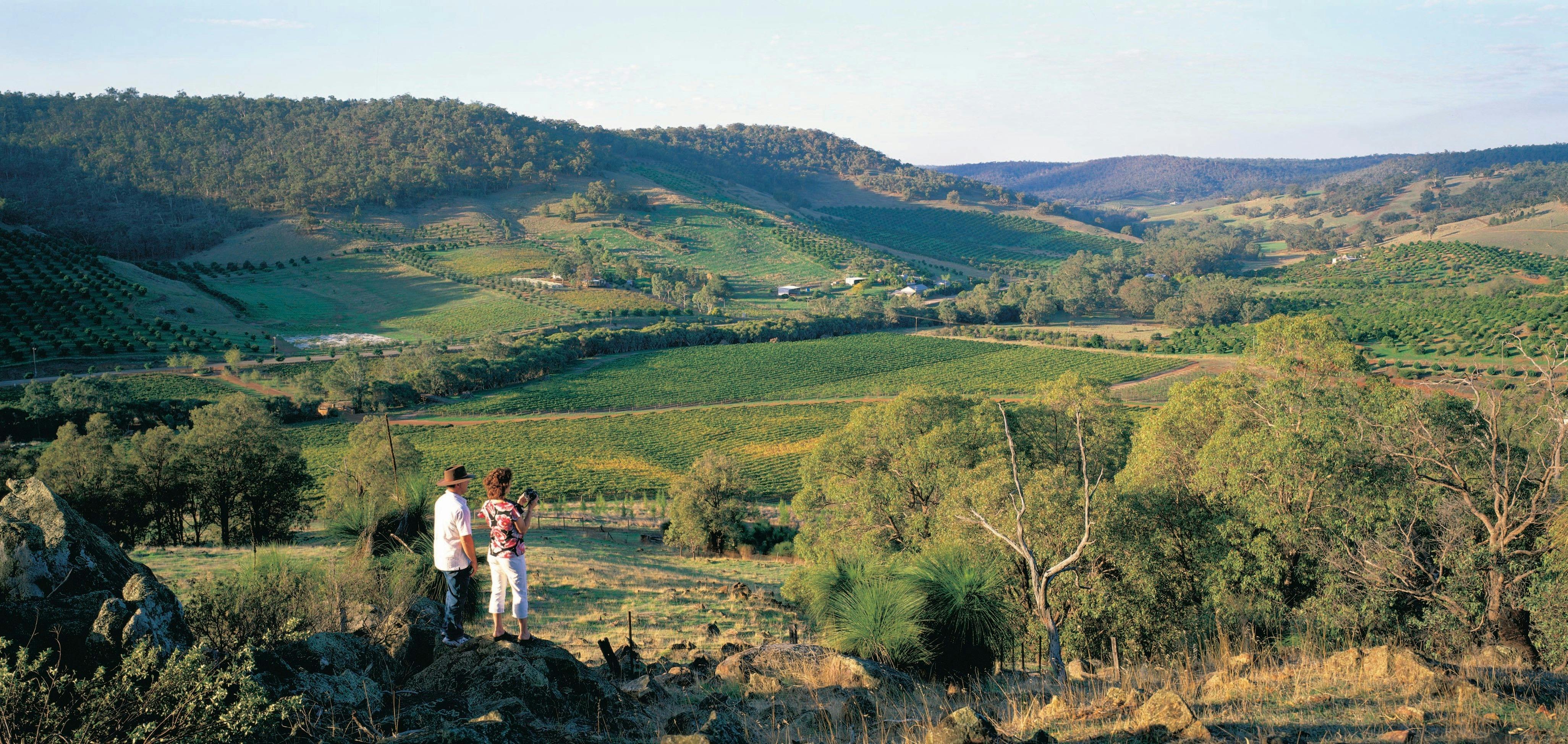 Hartley Estate Winery, Chittering Valley, Western Australia