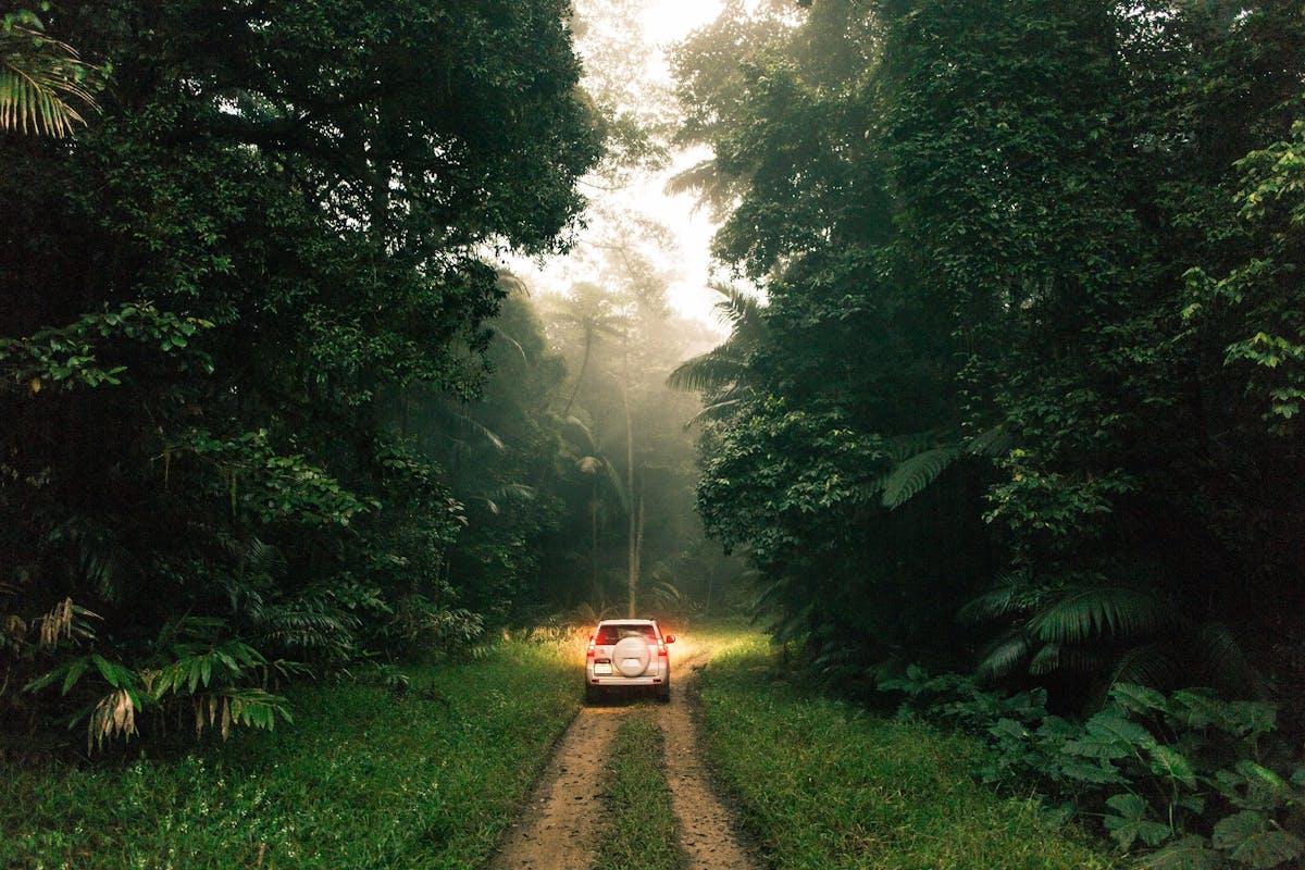 Eungella National Park