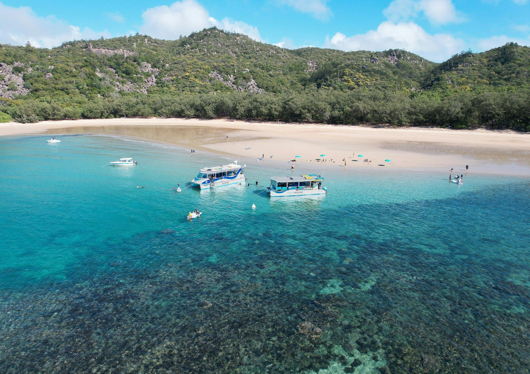 Aquascene Magnetic Island