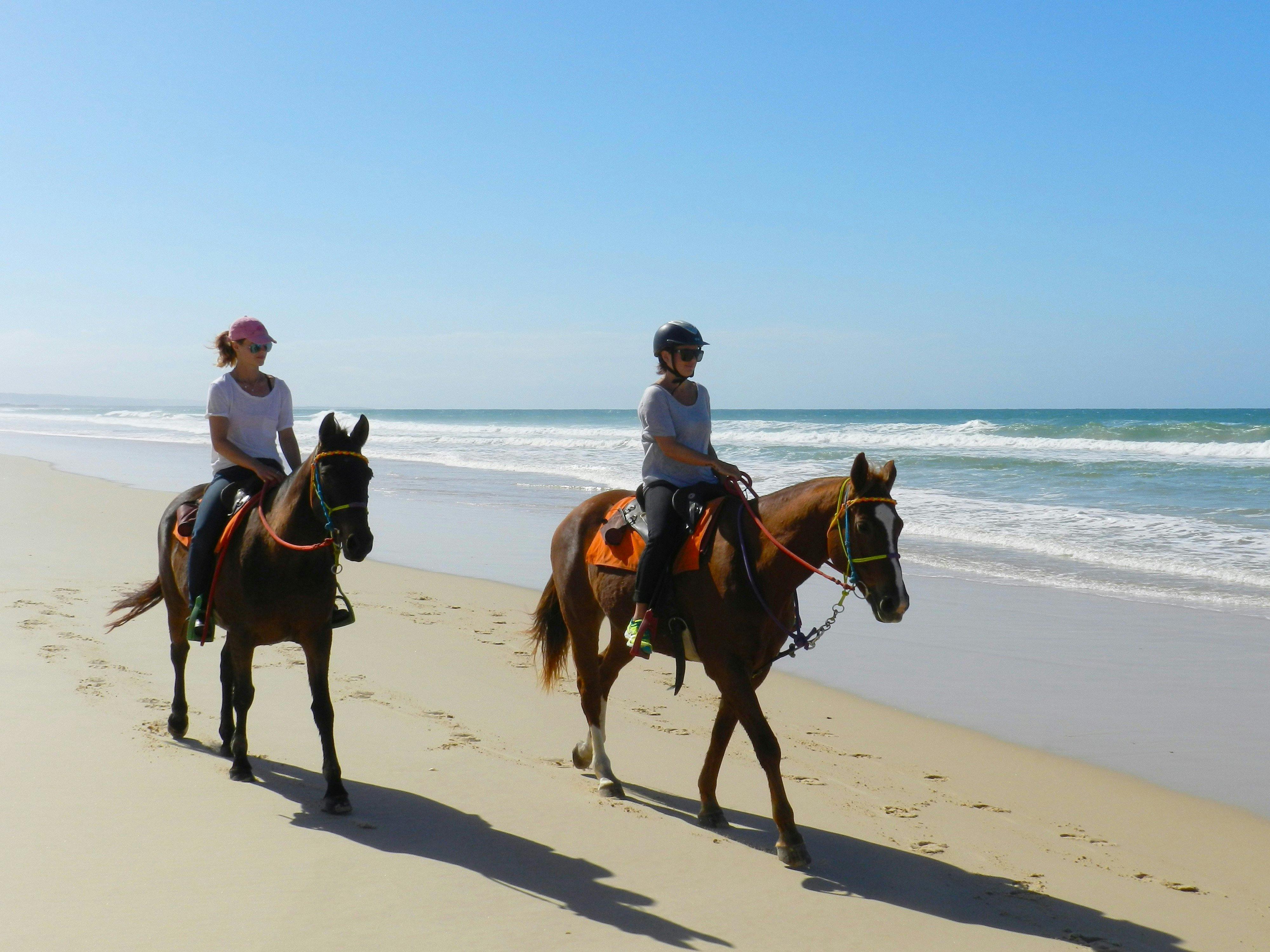 Inskip Peninsula Recreation Area - Family Parks