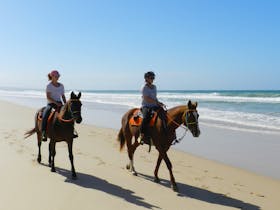 People ride two horses along a sandy beach near ocean.