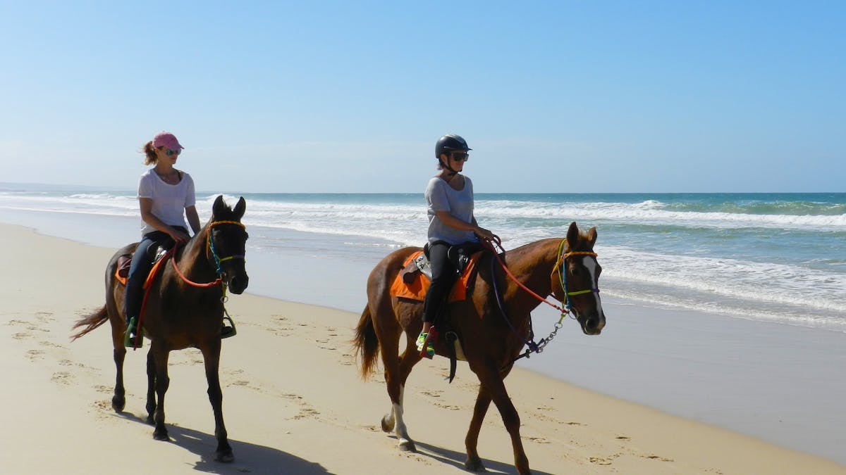 People ride two horses along a sandy beach near ocean.