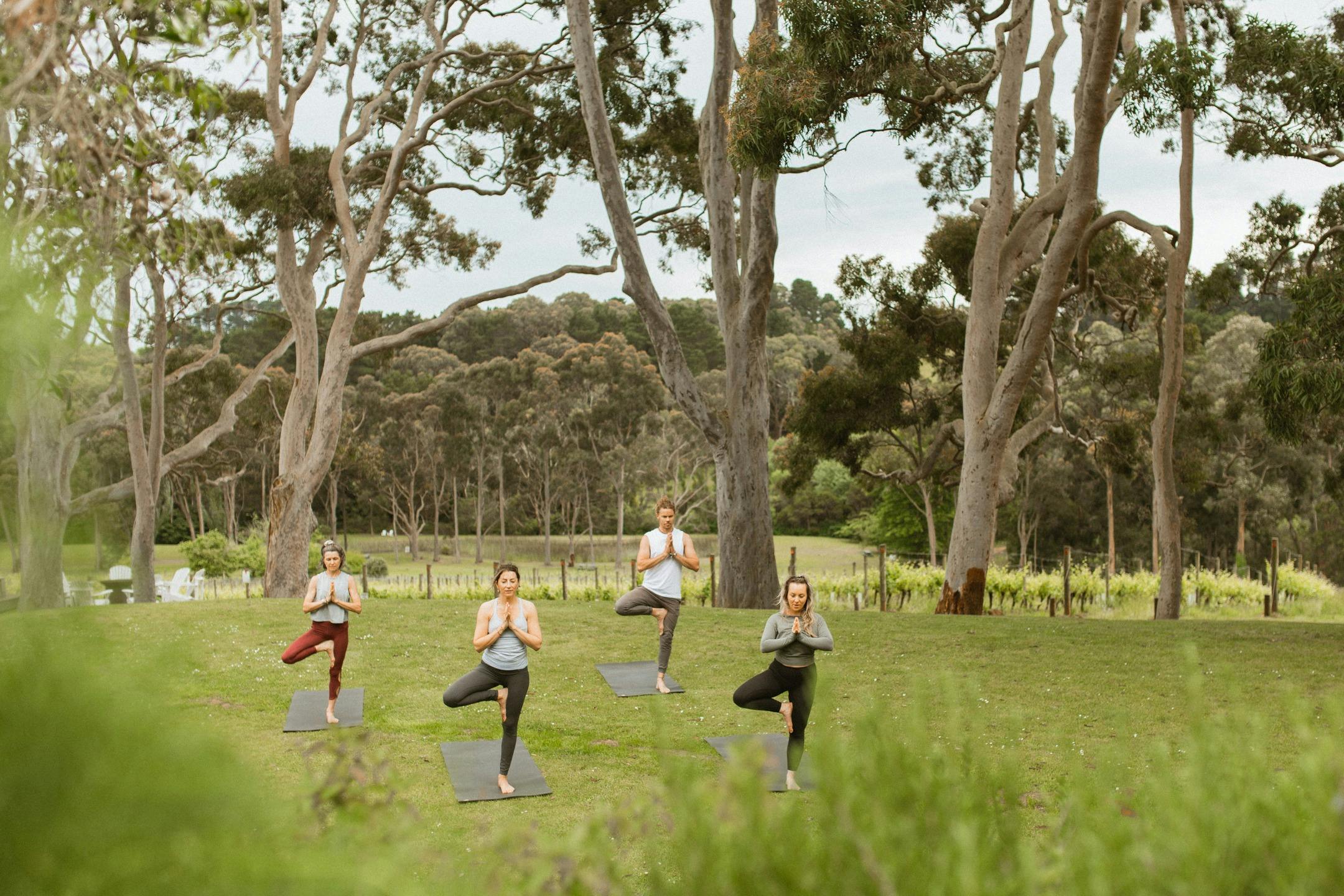Yoga In The Vines