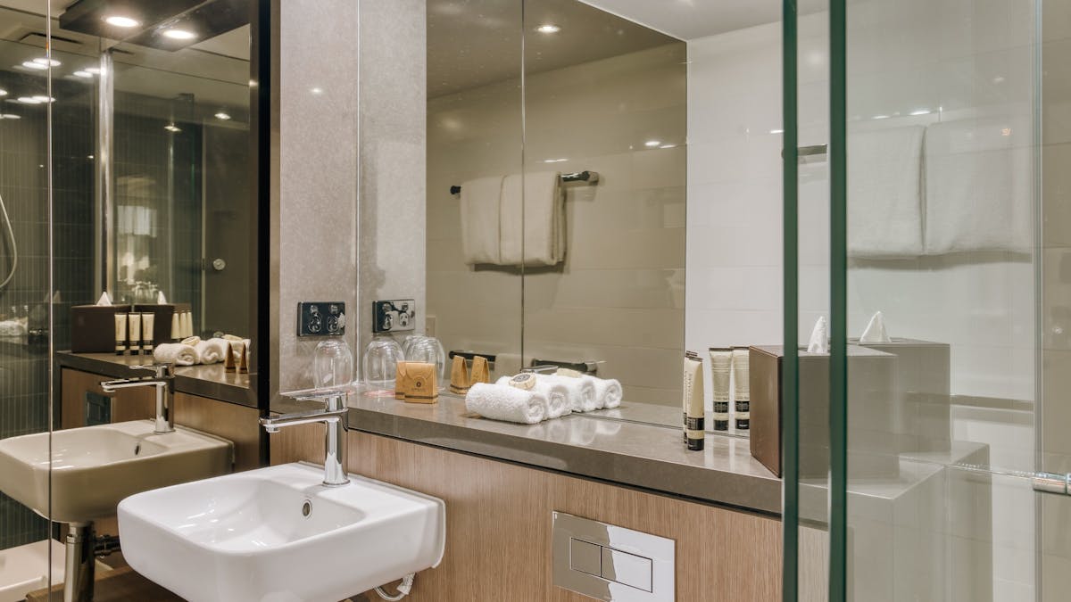 Deluxe Guest Room
