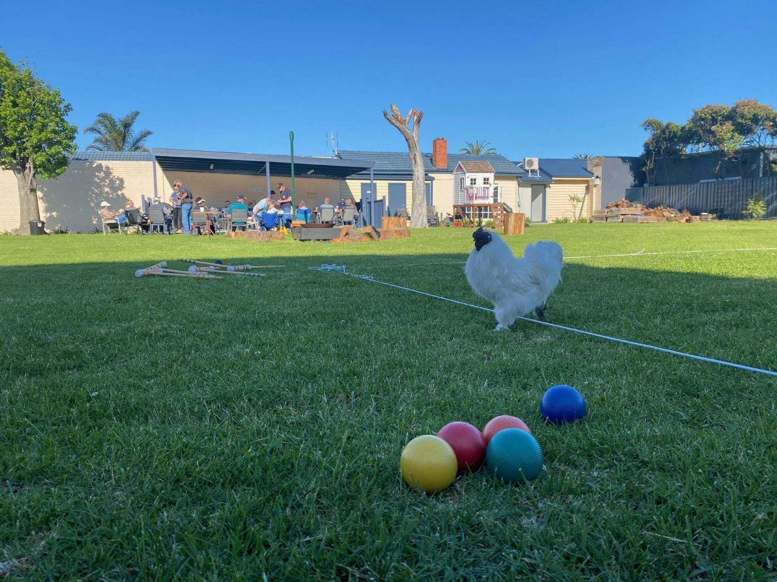 lawn bowls and chicken