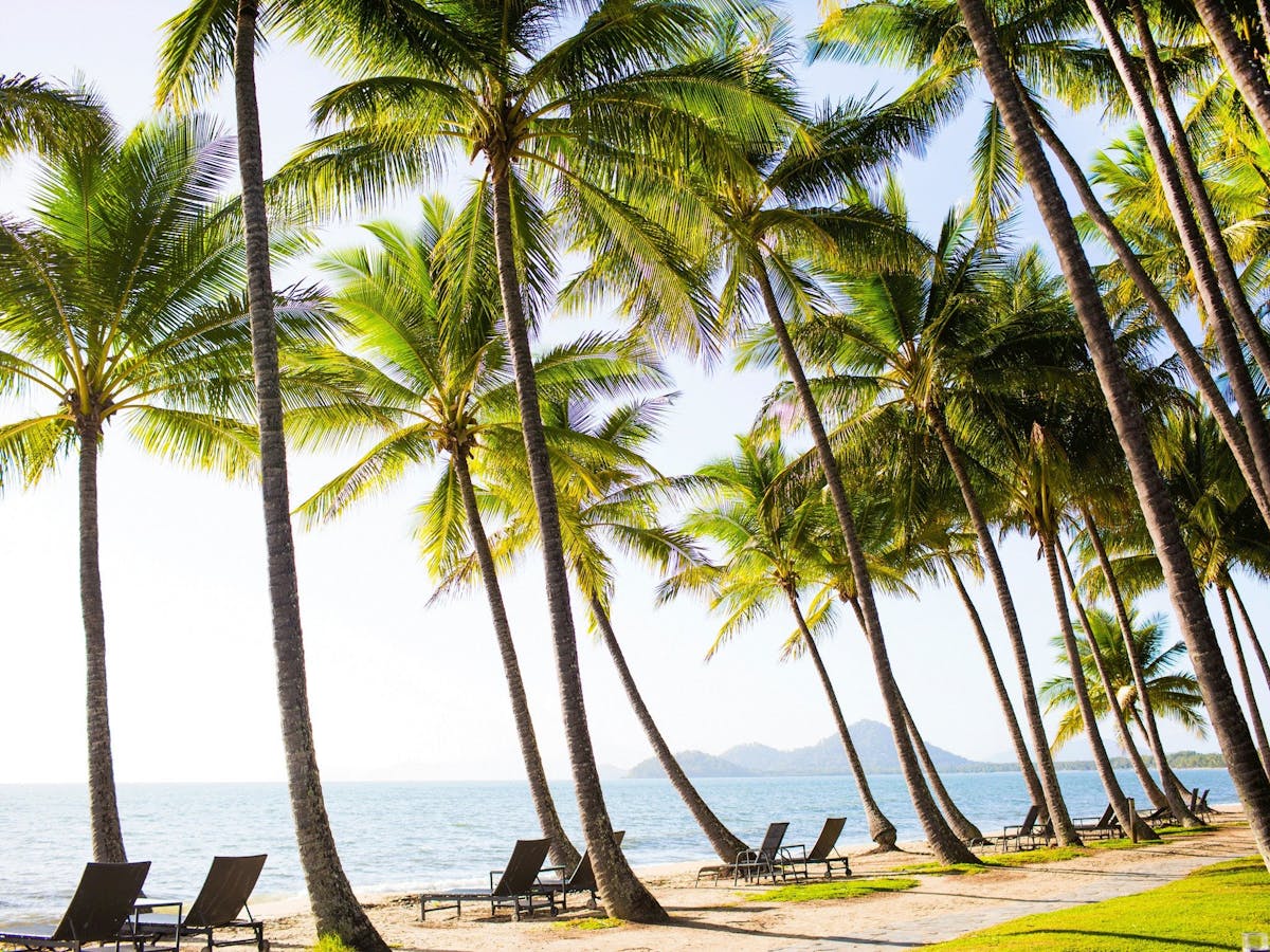 Lancemore Alamanda Palm Cove Conferencing Relax Beachfront