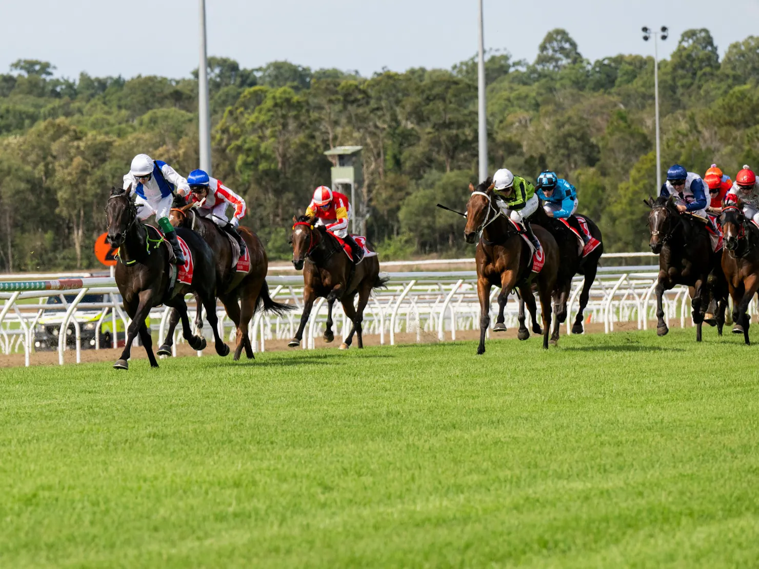 Thoroughbred horses running on the race track