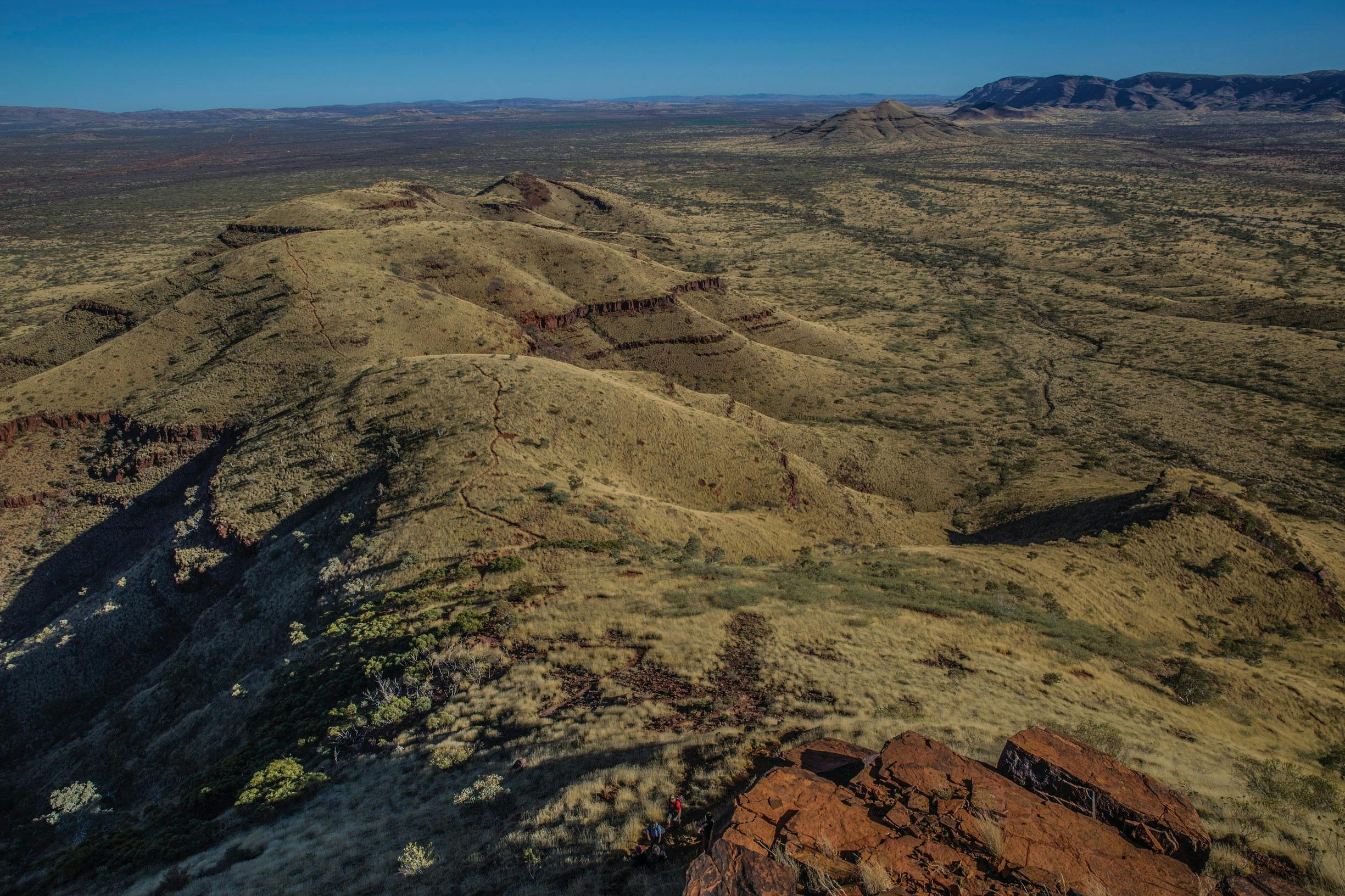 Pilbara Wildflower Trail, Karijini National Park, Western Australia