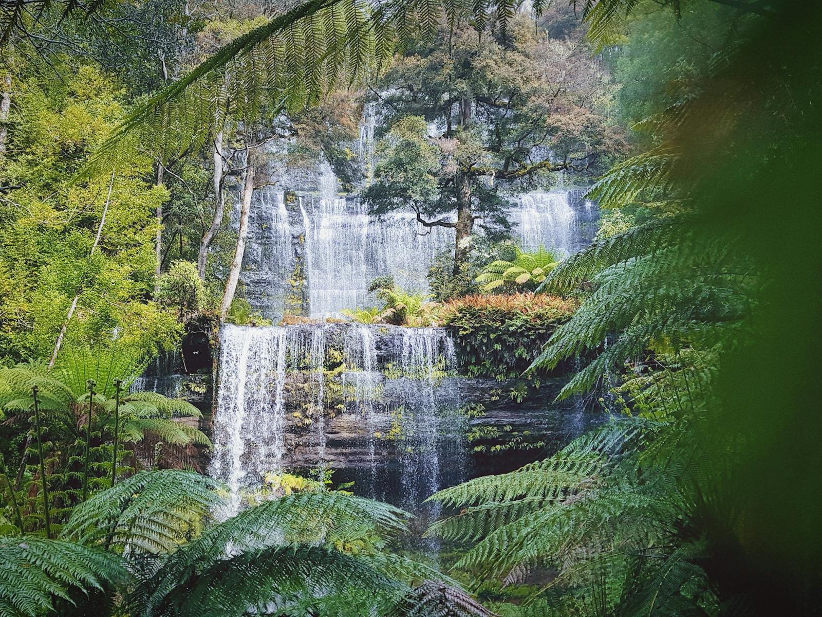 Russell Falls, Mt Field National Park Tasmania