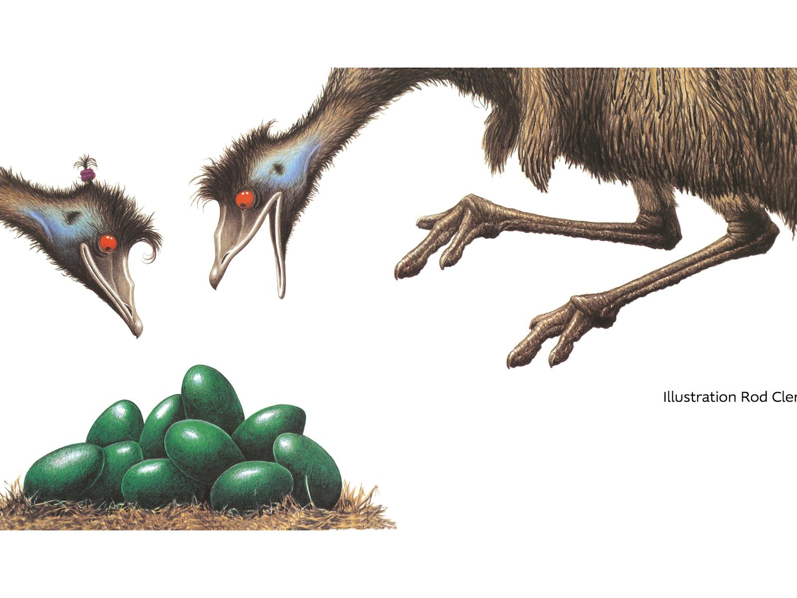 Image for Edward The Emu