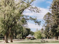 Image: Collins Park