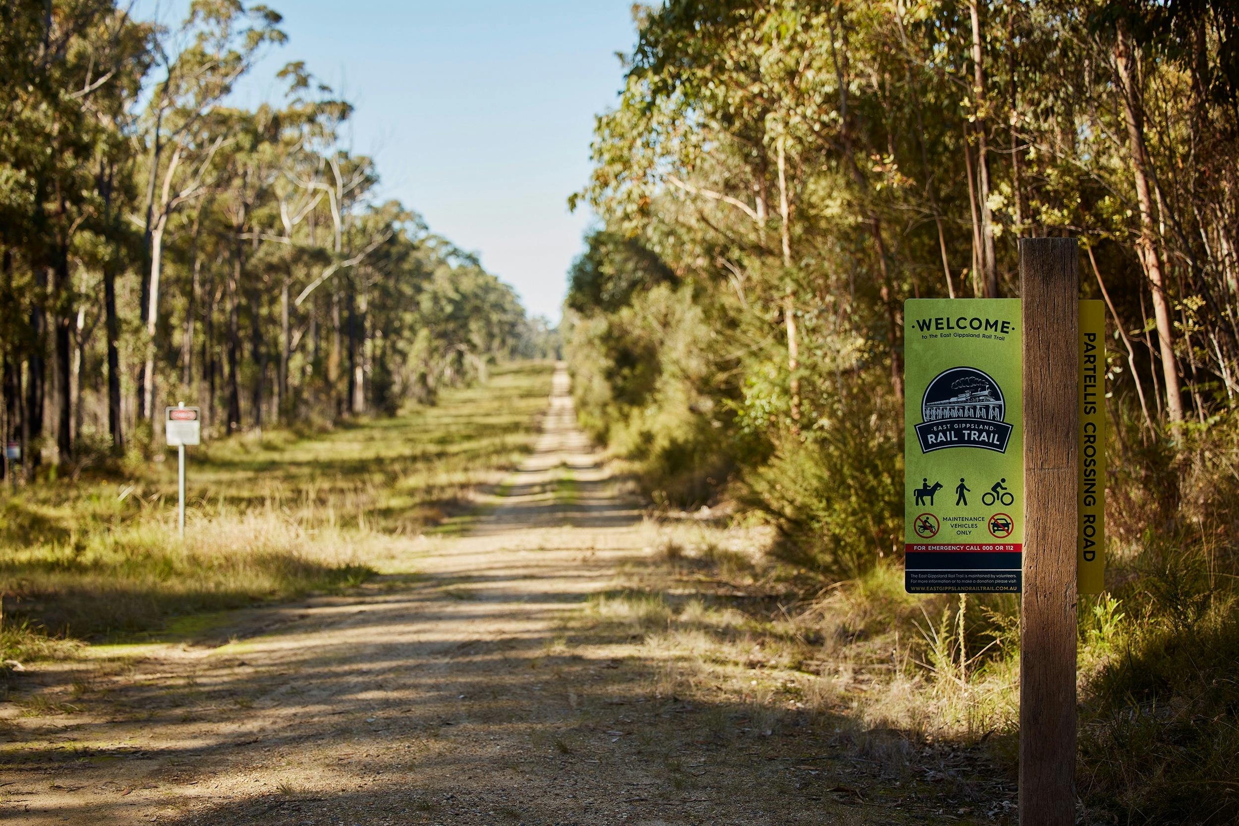 Path with trees on either side
