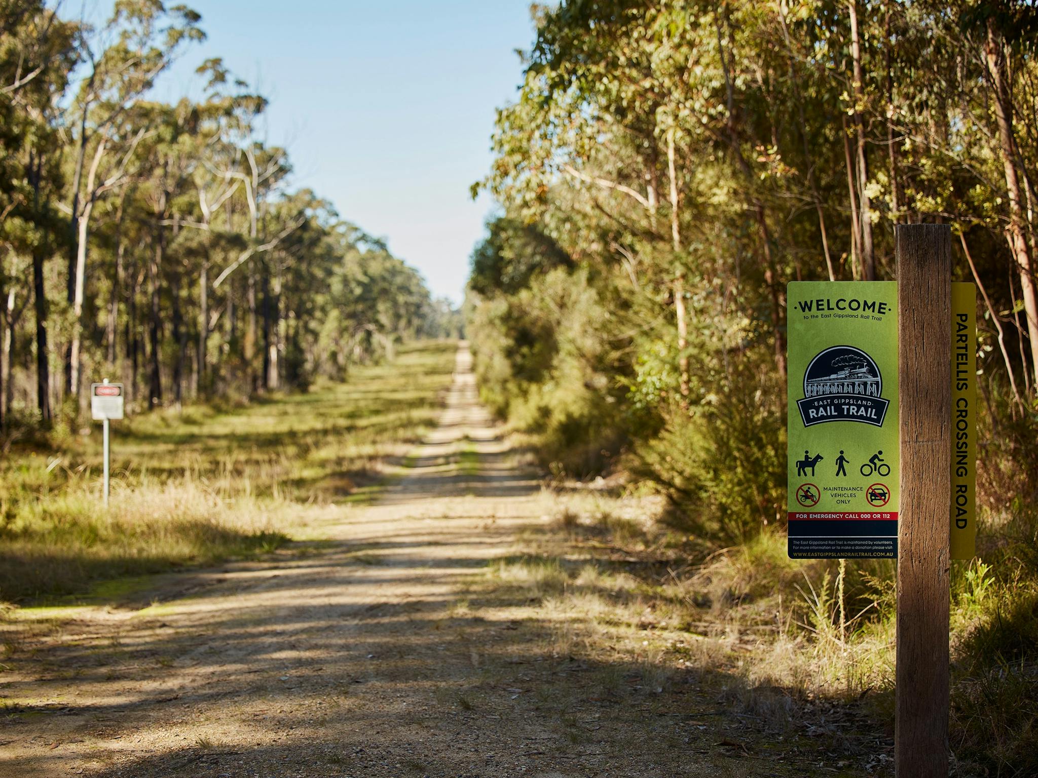 Path with trees on either side