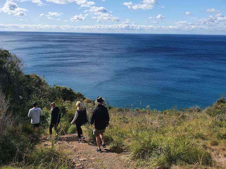 Booti Hill Walk, Elizabeth Beach