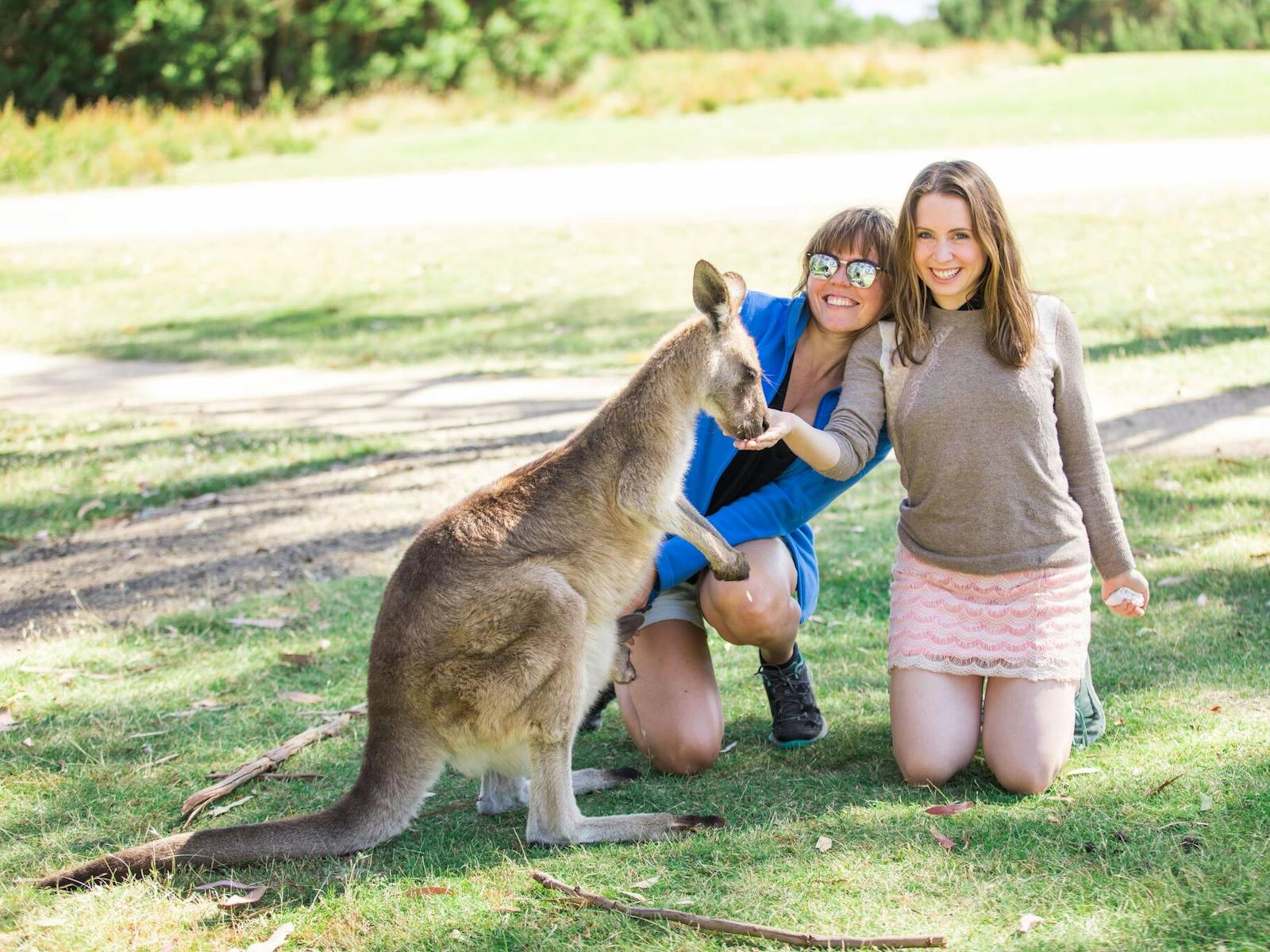 Kangaroos like to JUMP