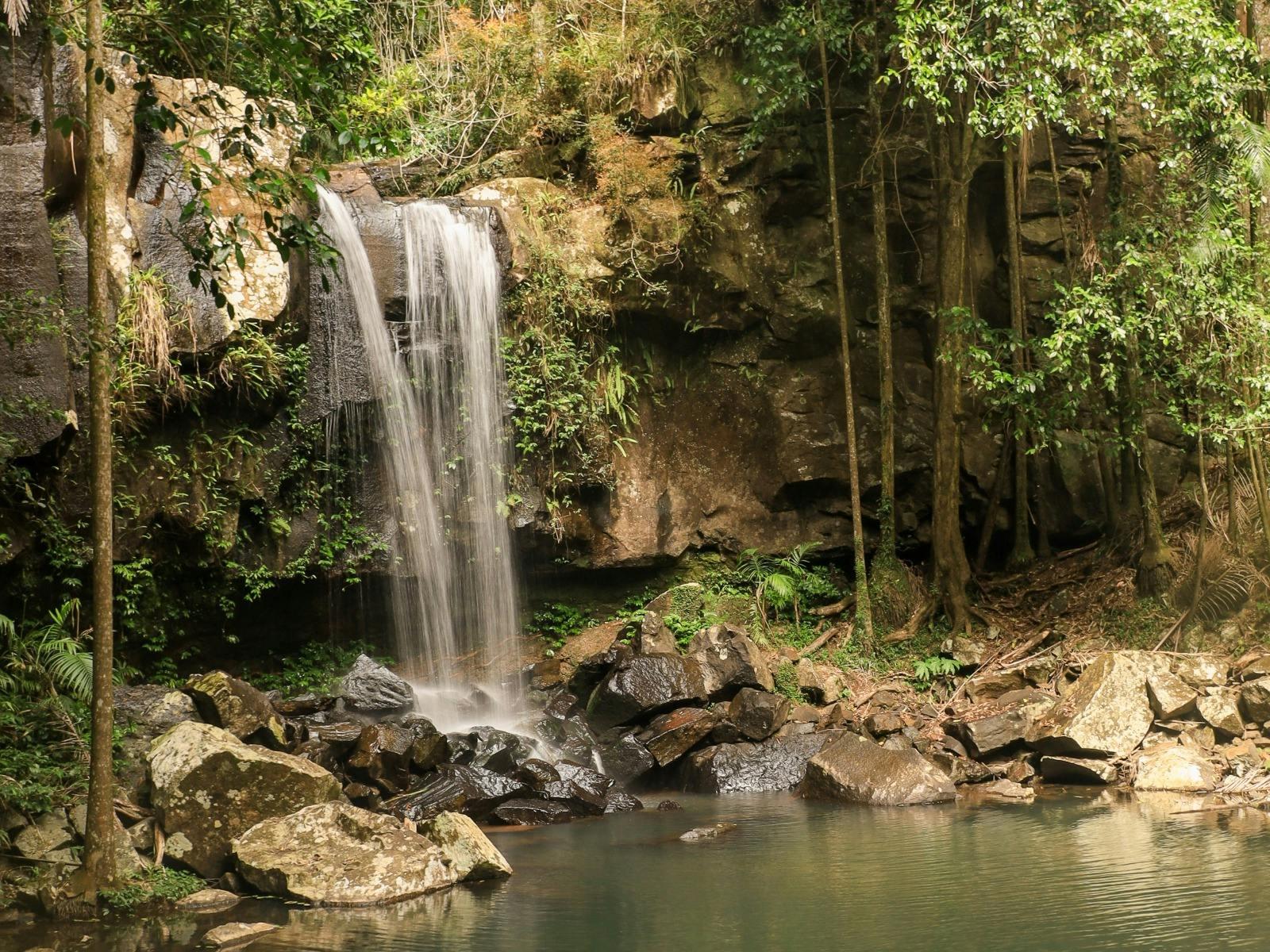 Mount Tamborine Vines, Views & Glow Worms