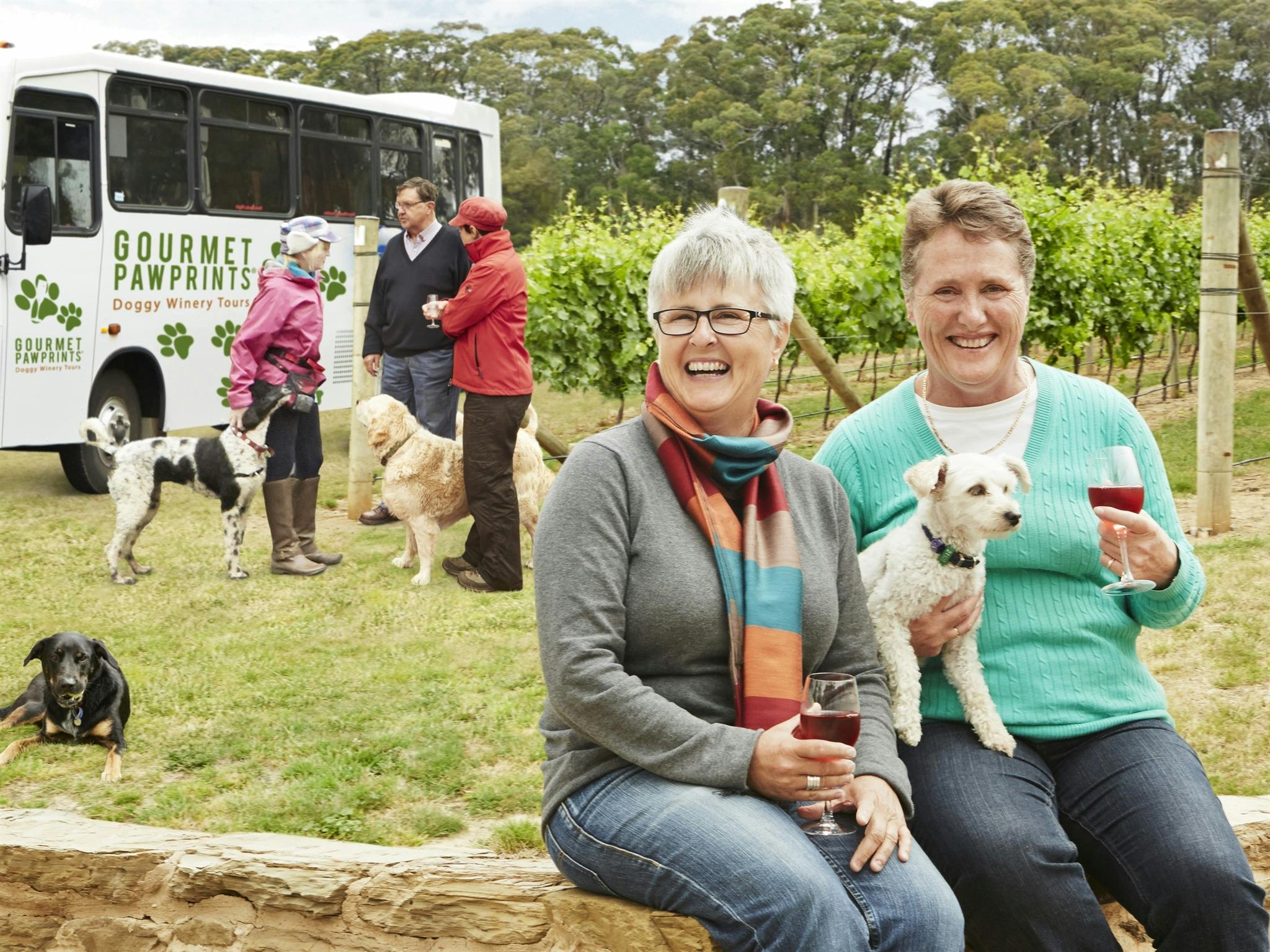 People on fence with dogs in background