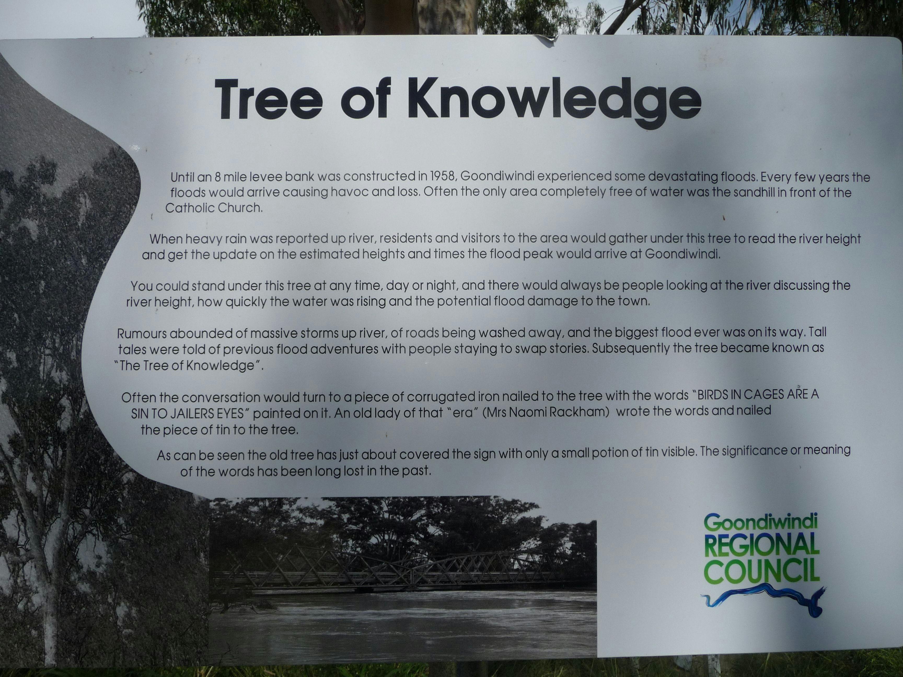Tree of Knowledge Information