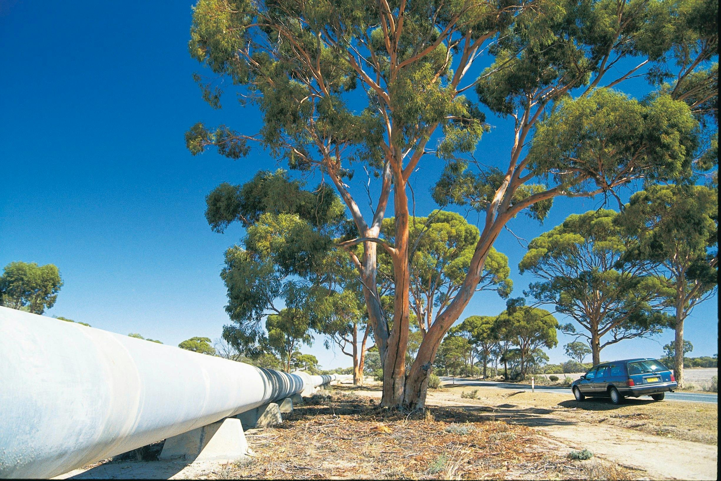 The Mundaring to Kalgoorlie water pipeline, Merredin, Western Australia