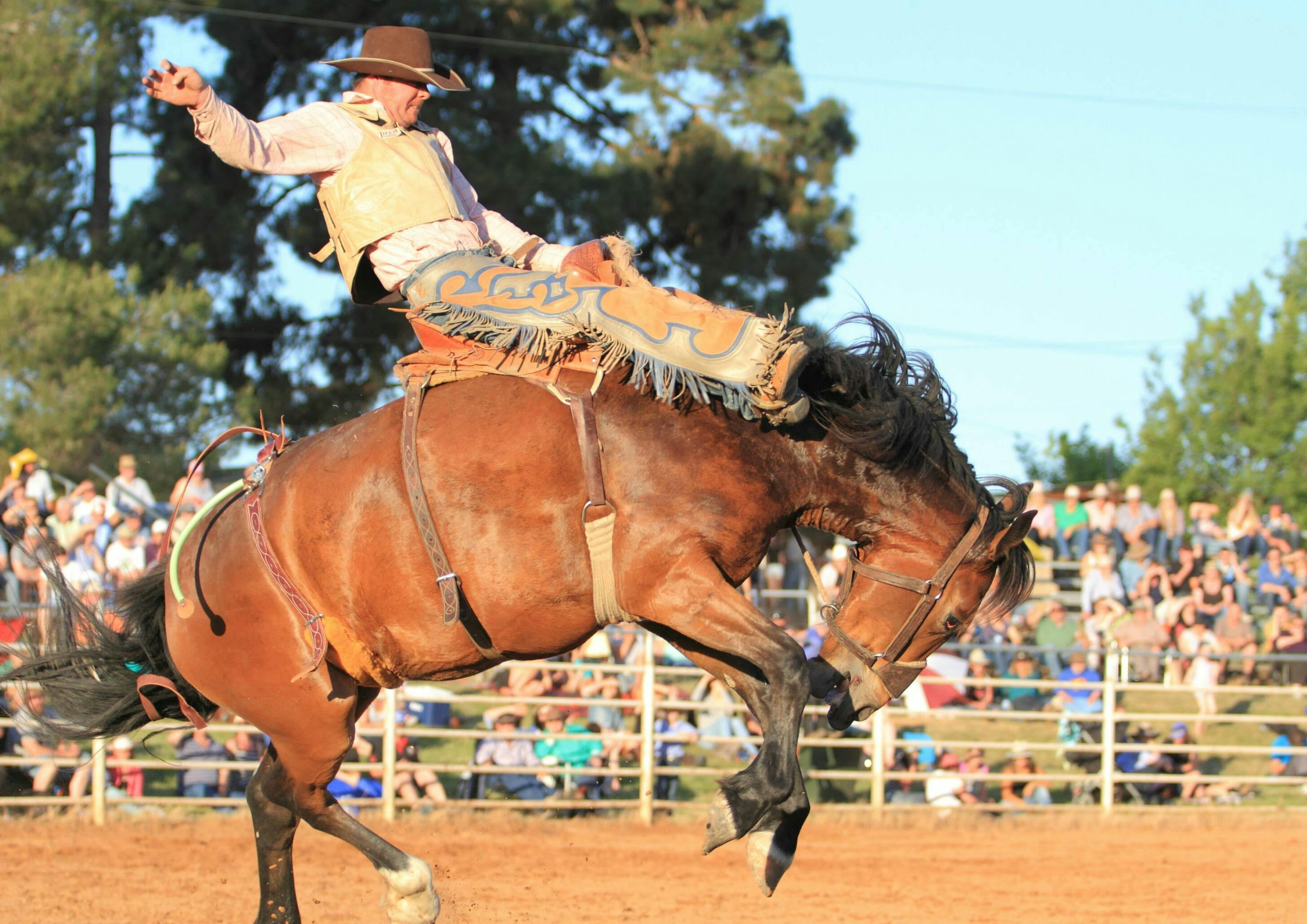 Yass Rodeo