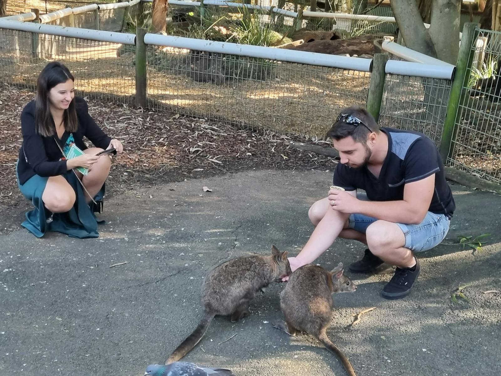 Blue Mountains Private Tours Sydney