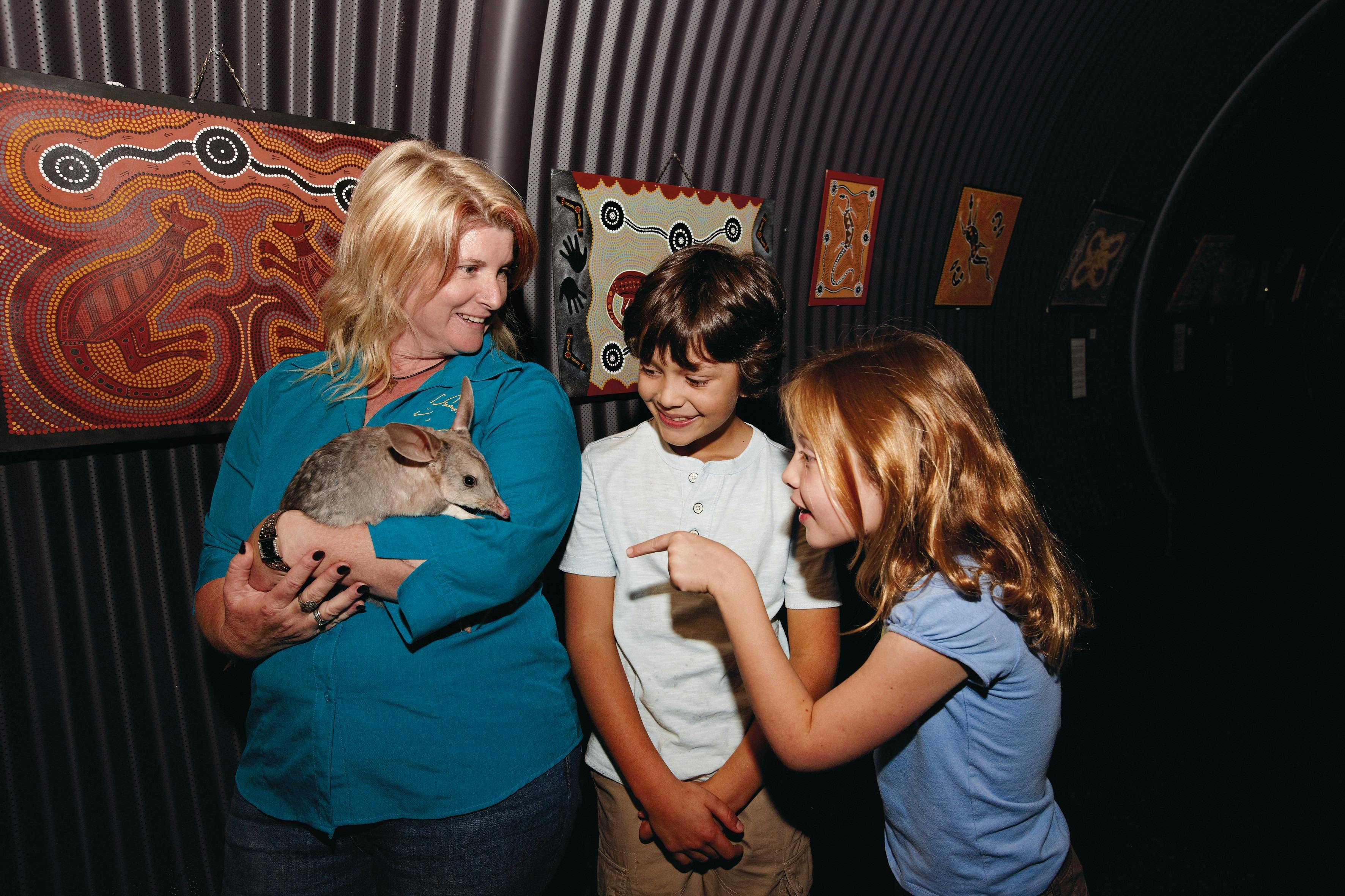 Bilby Experience, Charleville, Outback Queensland